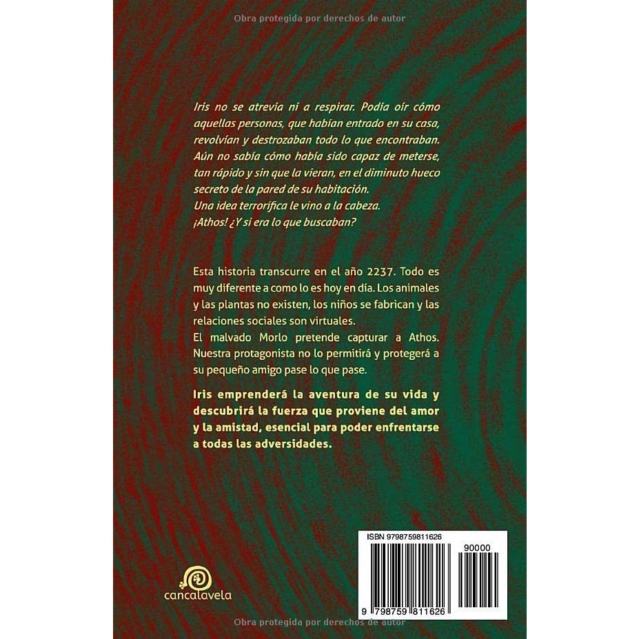 El origen del más pequeño [ Saga "Un regalo singular" . Vol.2 ]: Libro infantil / Juvenil - A partir de 8 años. Aventuras / Ciencia Ficción / Futurista. (Spanish Edition)