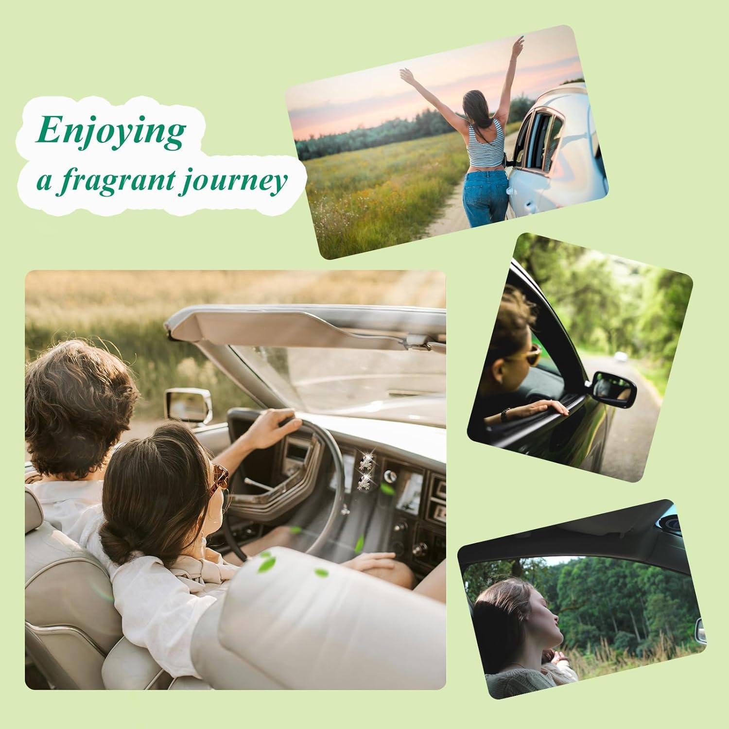 Clip de Ventilación de Coche ORIESSE Rana de Árbol 2 Pcs