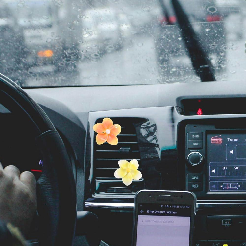 5 Clips Decorativos de Ventilación para Coche SOKPEWWM Plumeria