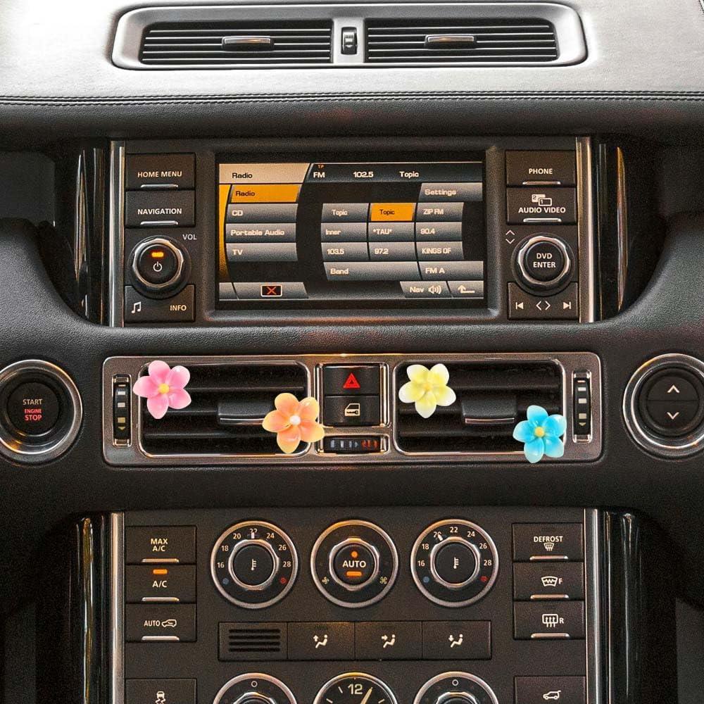 5 Clips Decorativos de Ventilación para Coche SOKPEWWM Plumeria
