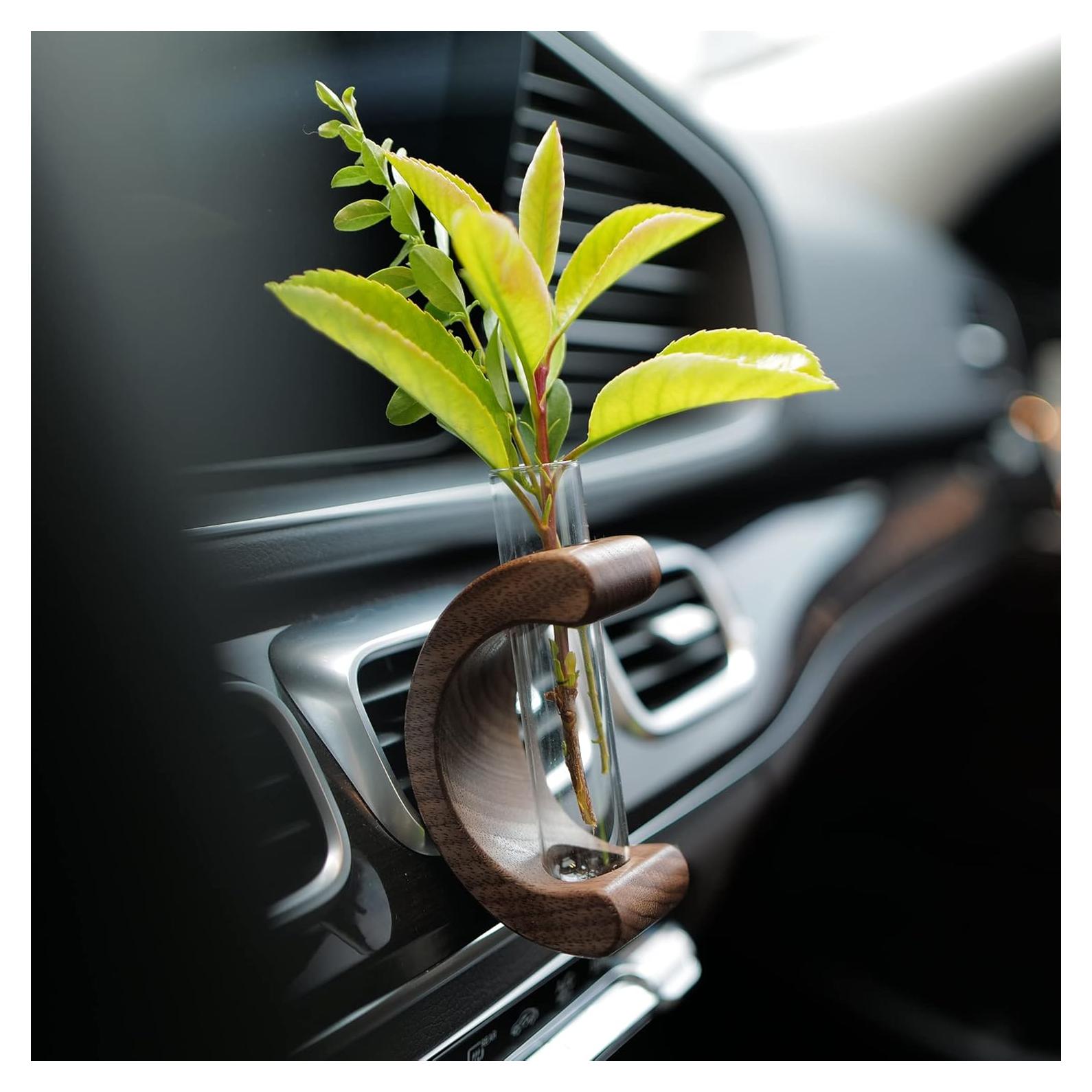 Estación de Propagación de Plantas INEBIZ con Soporte de Madera