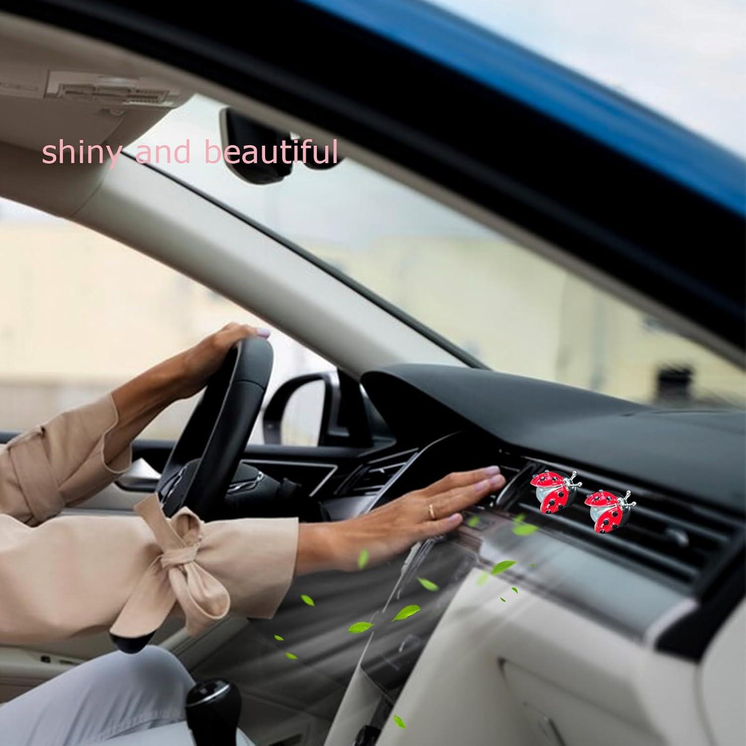 Clips de Ventilación de Coche Mariquita ORIESSE - 2 Piezas