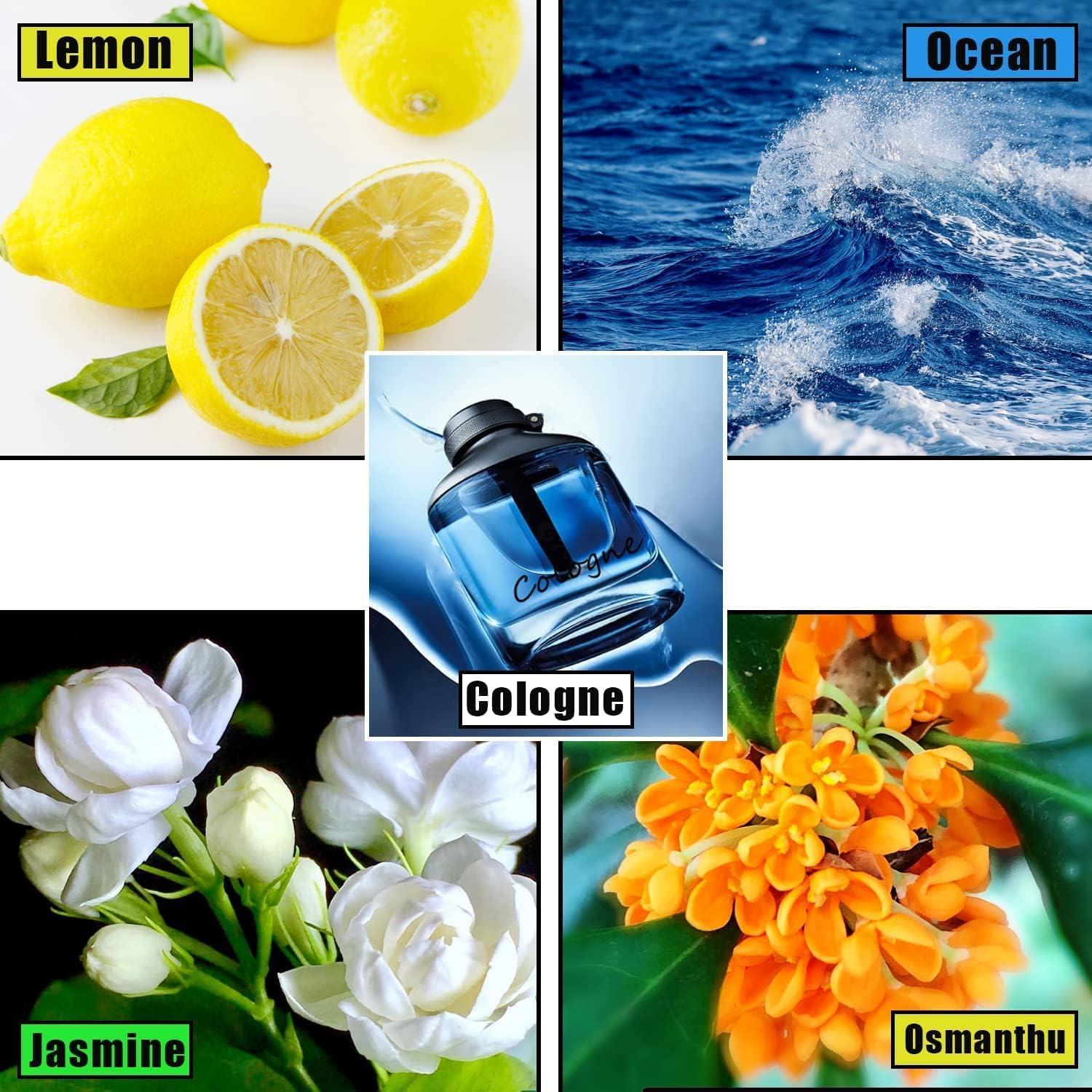 Paquete de 10 recambios de clip de ventilación Xinjincang - Lavanda