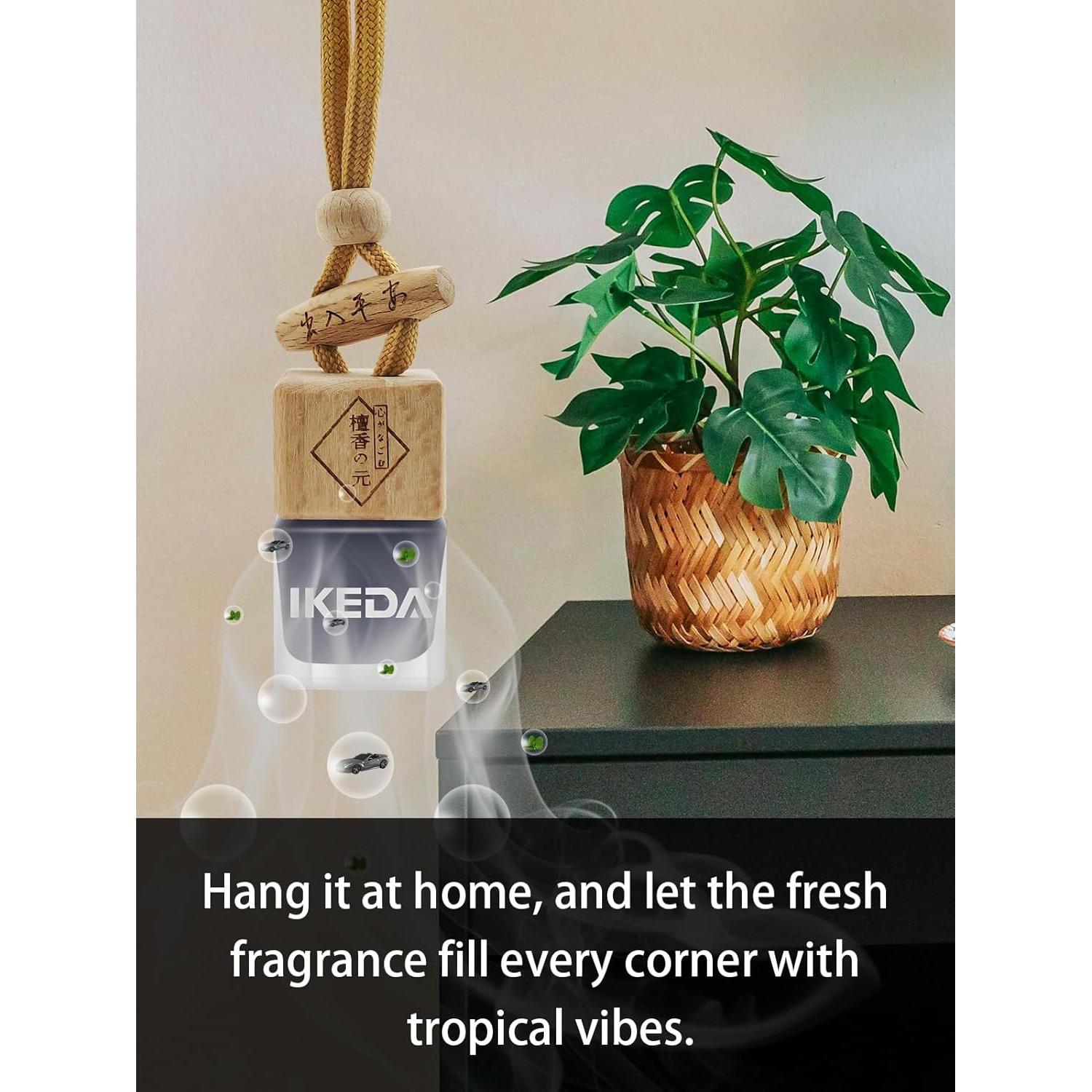 Ambientador de Auto Ikeda Scents Noche Oscura 10ml con Clip