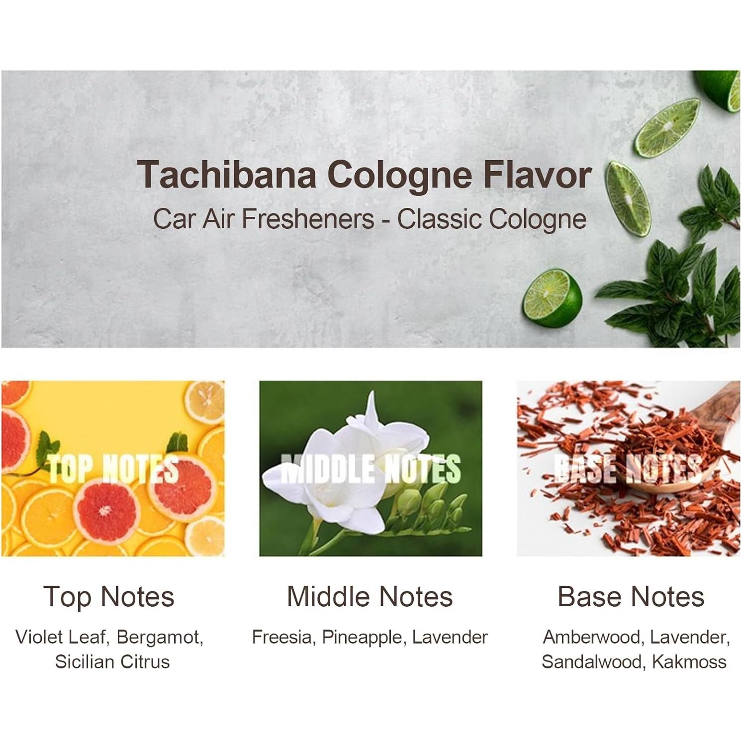 Ambientador de Coche COSLAKE para Tesla Model Y/3, Set 6 Varitas