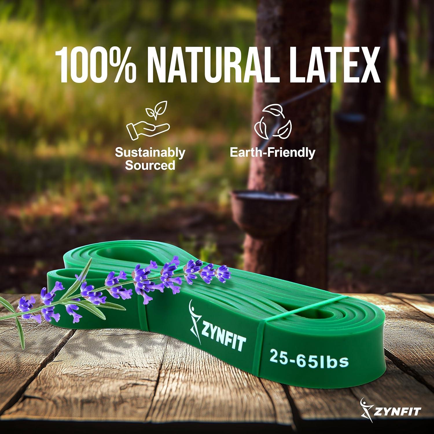 Juego de 5 Bandas de Resistencia ZYNFIT con Ancla de Puerta