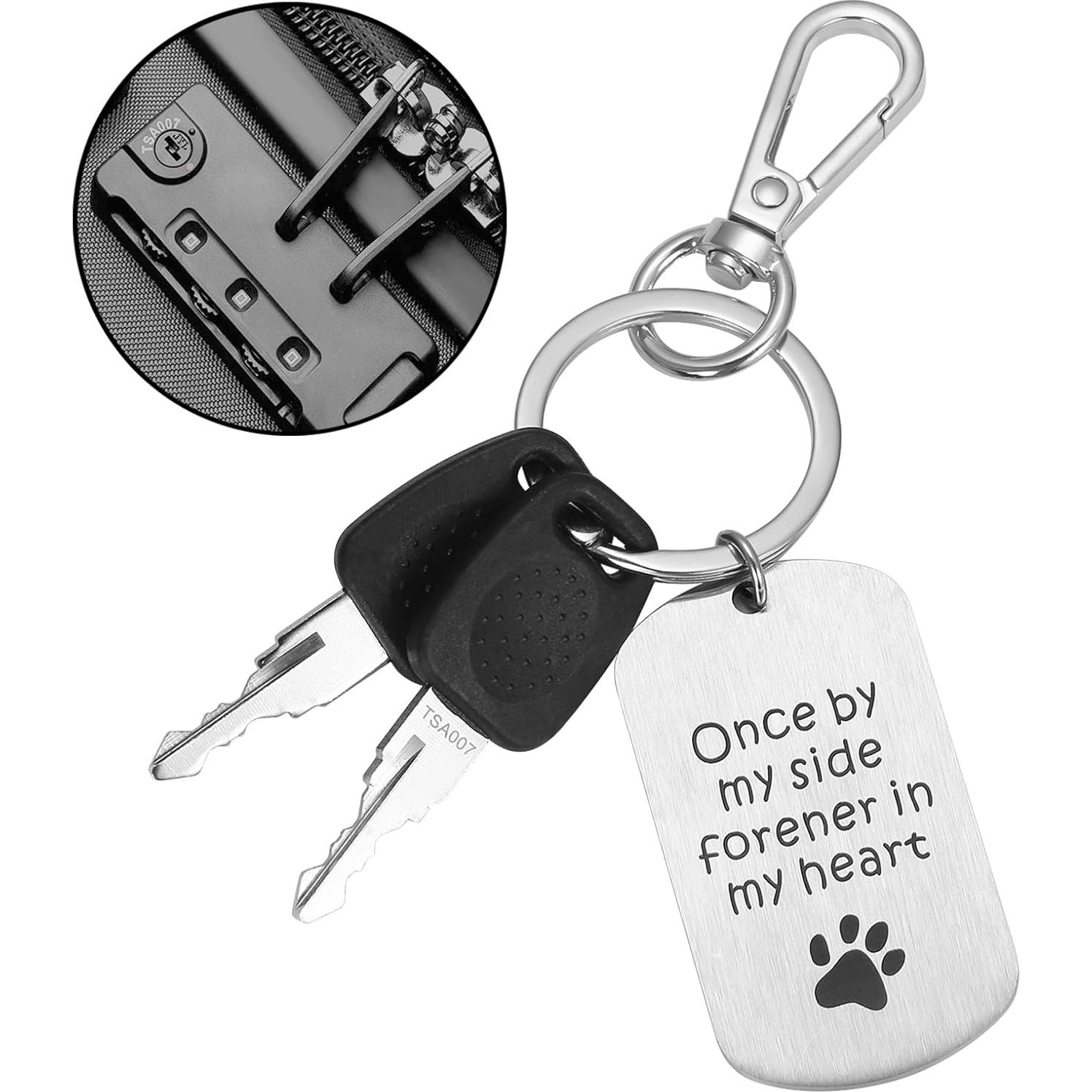 2 Llaves Maestras TSA 007 Cogguepe para Candados de Equipaje