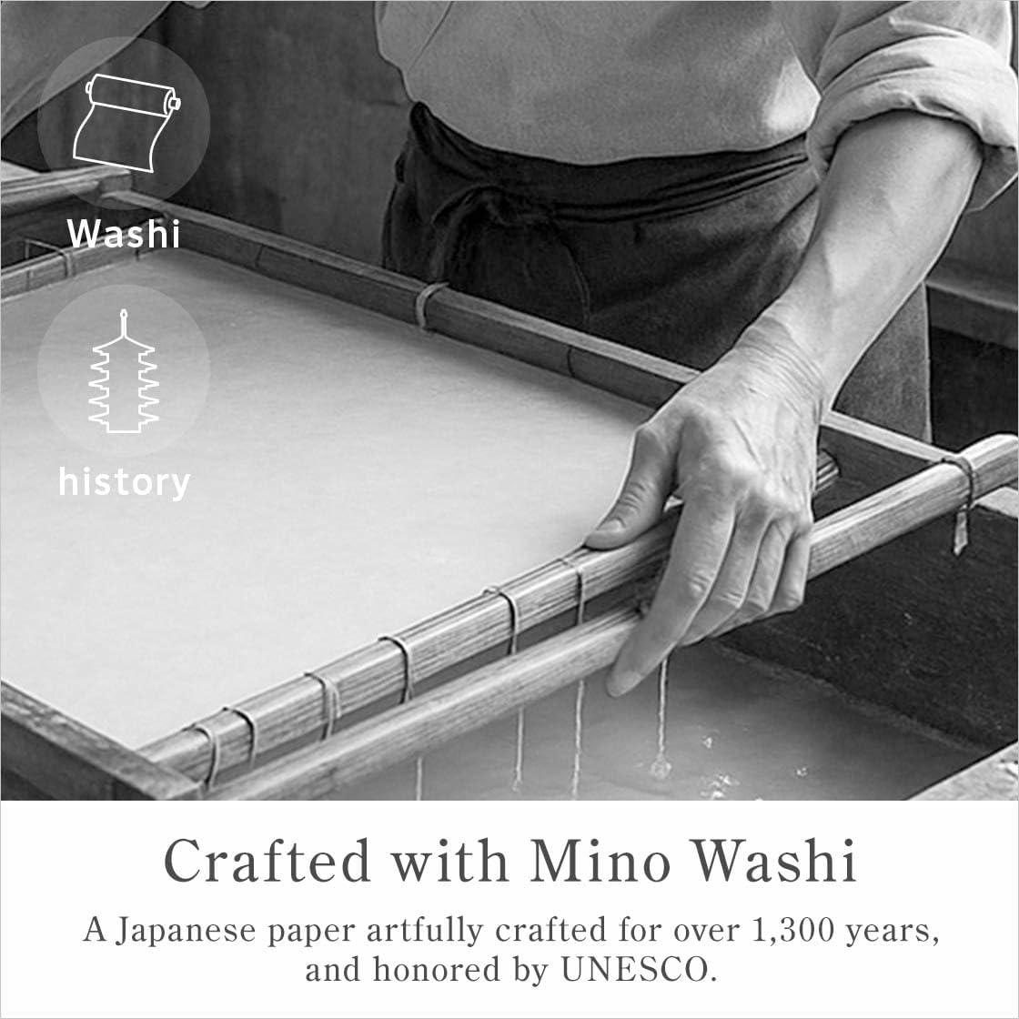Papel Absorbente de Aceite 100 Hojas Washi Japonés Carbono