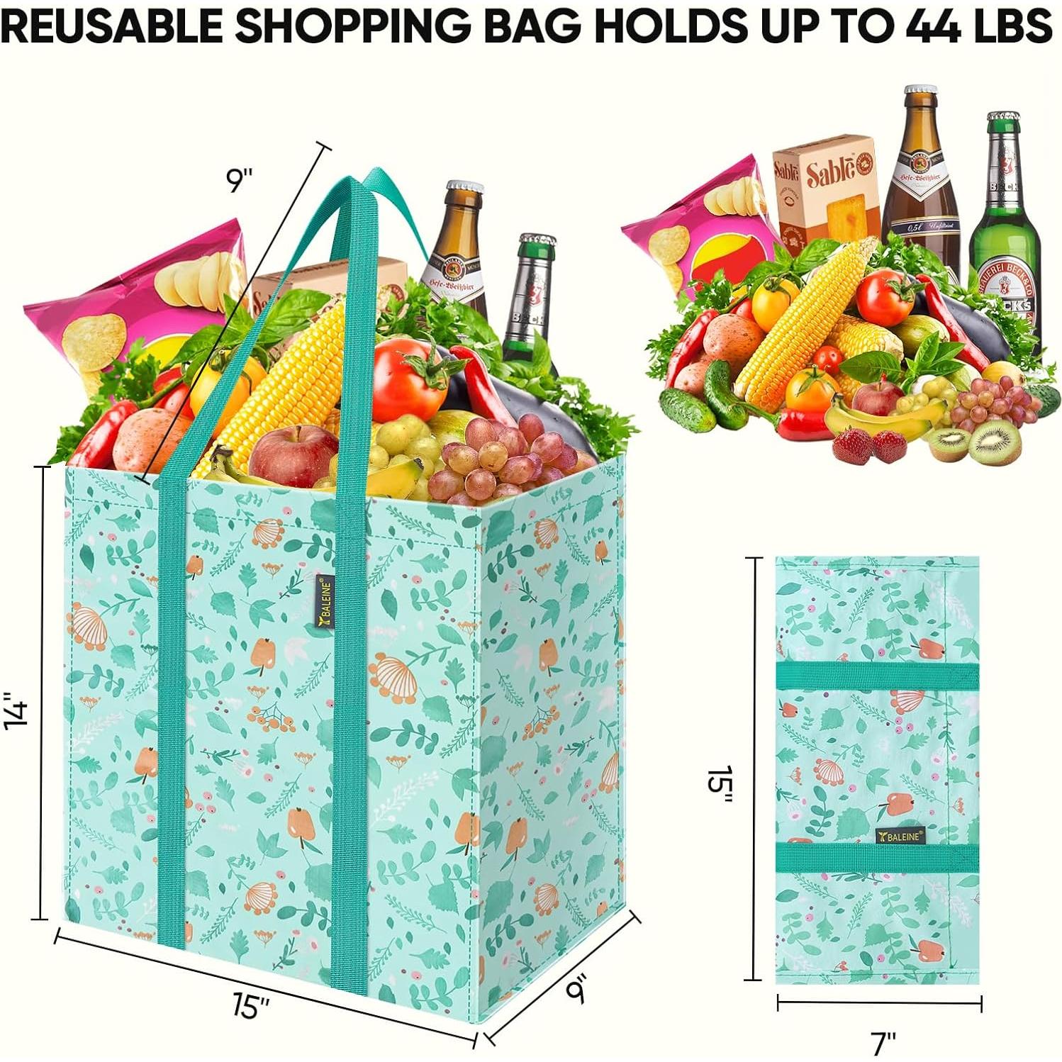 Bolsas de Compras Reutilizables Baleine 4 Pk Paseo Primavera