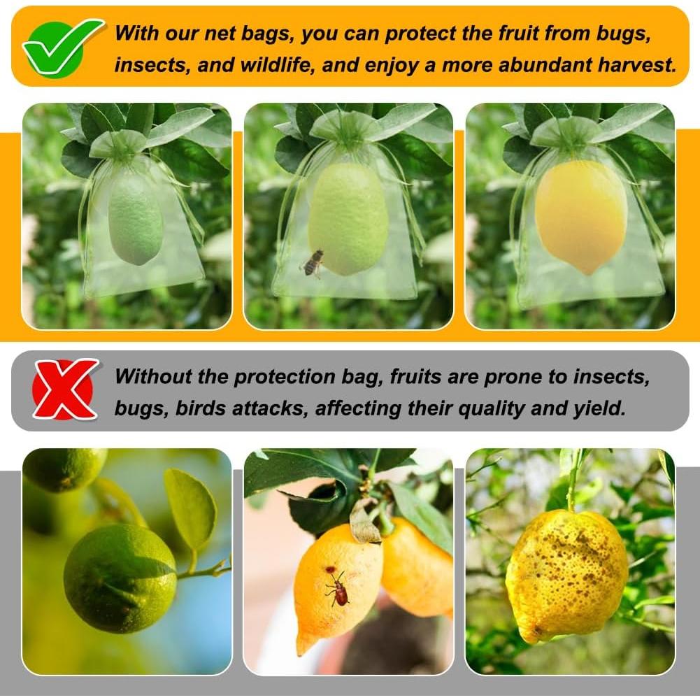 Bolsas de Protección para Frutas Shintop 100 Pcs 10x15 cm Verde