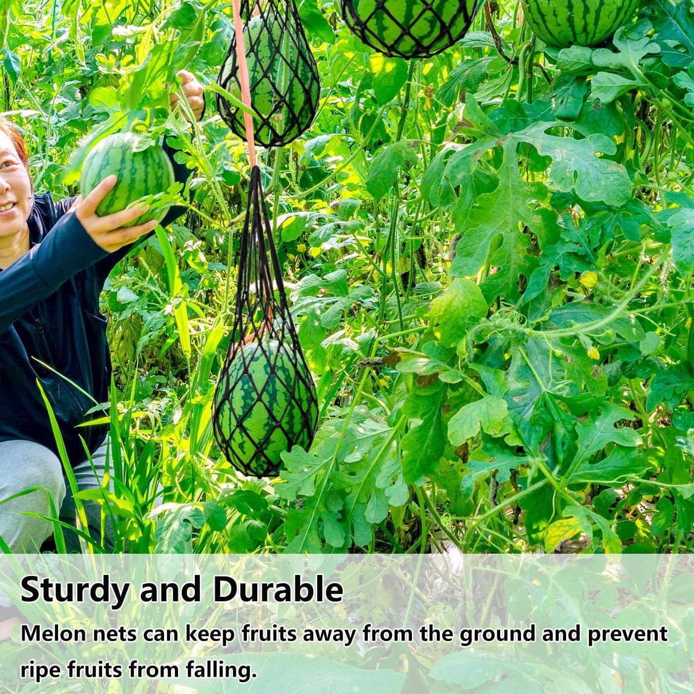 Bolsa de Malla de Nailon Belit para Cultivar Melones - Paquete de 5