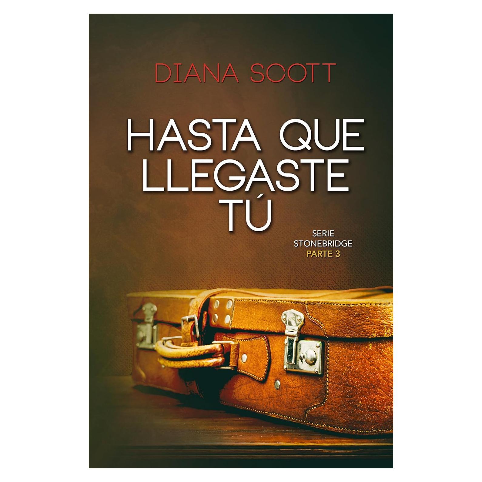Hasta que llegaste tú - Diana Scott - Novela romántica