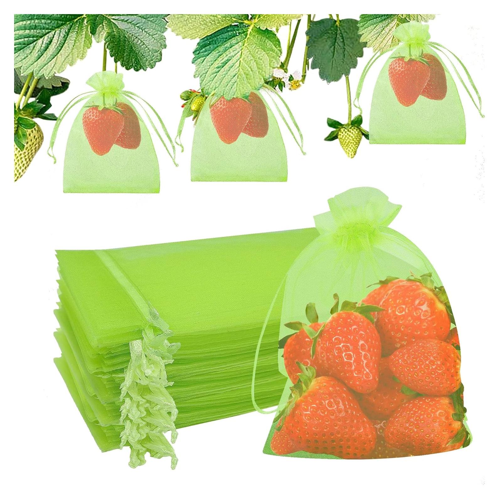 Bolsas de Protección para Frutas ZIFTY 100 Pcs 10x15 cm Verde