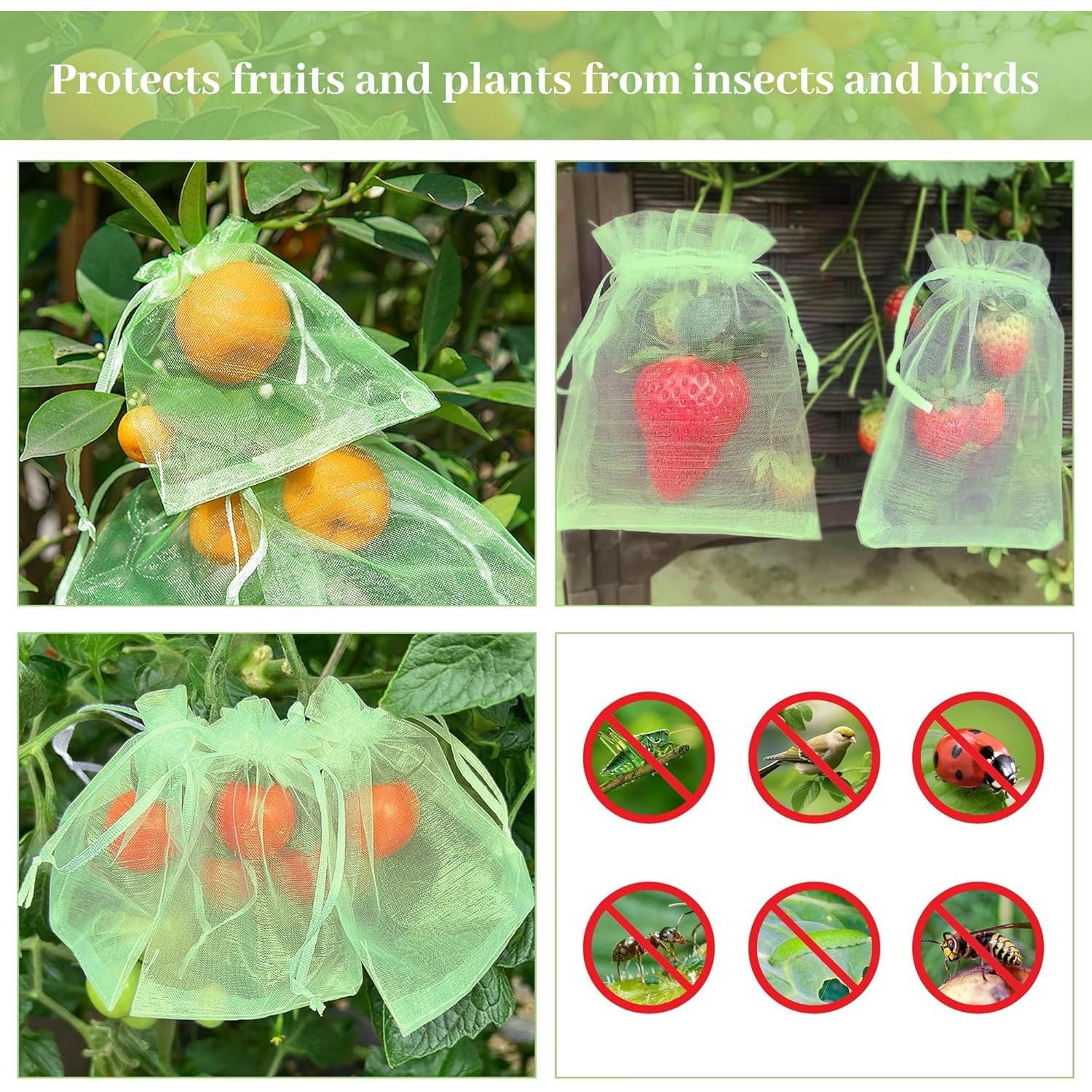 Bolsas de Protección para Frutas ZIFTY 100 Pcs 10x15 cm Verde