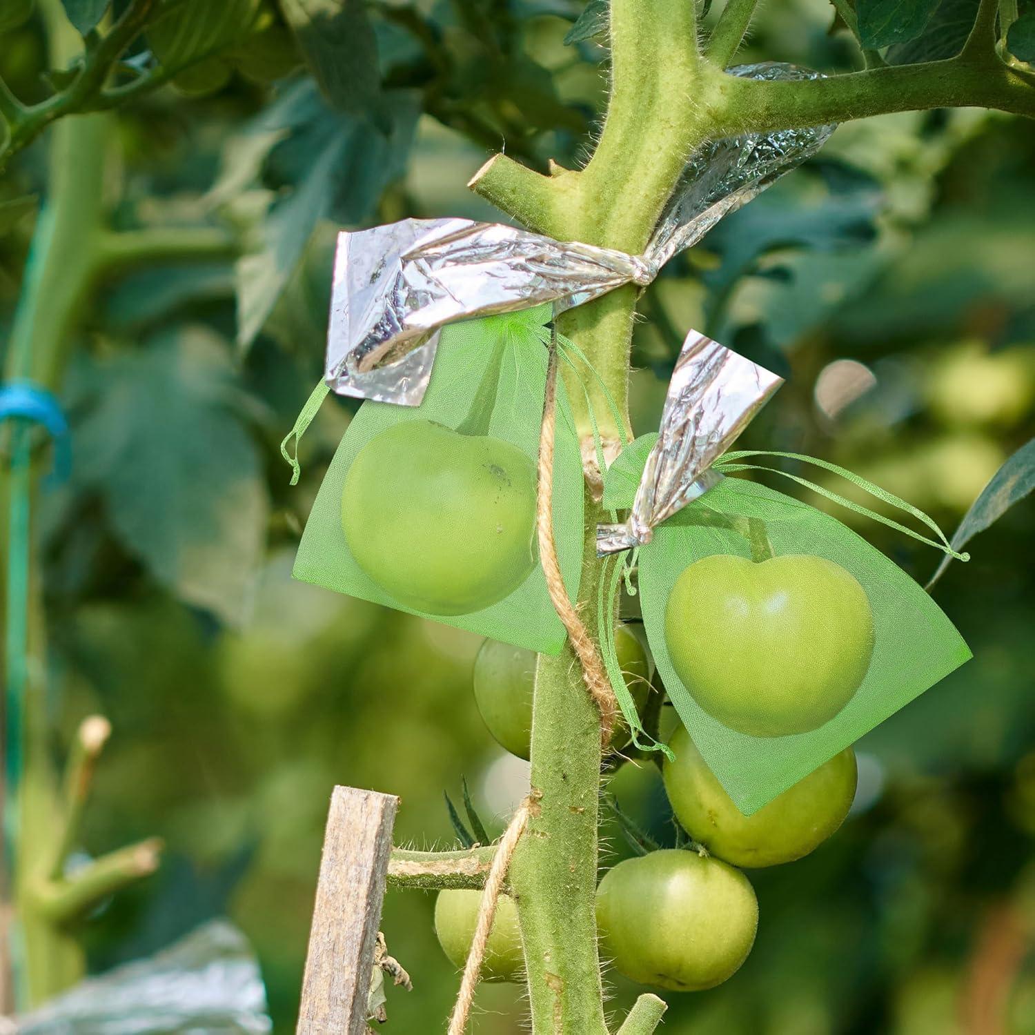 Bolsas de Protección para Frutas ZIFTY 100 Pcs 10x15 cm Verde