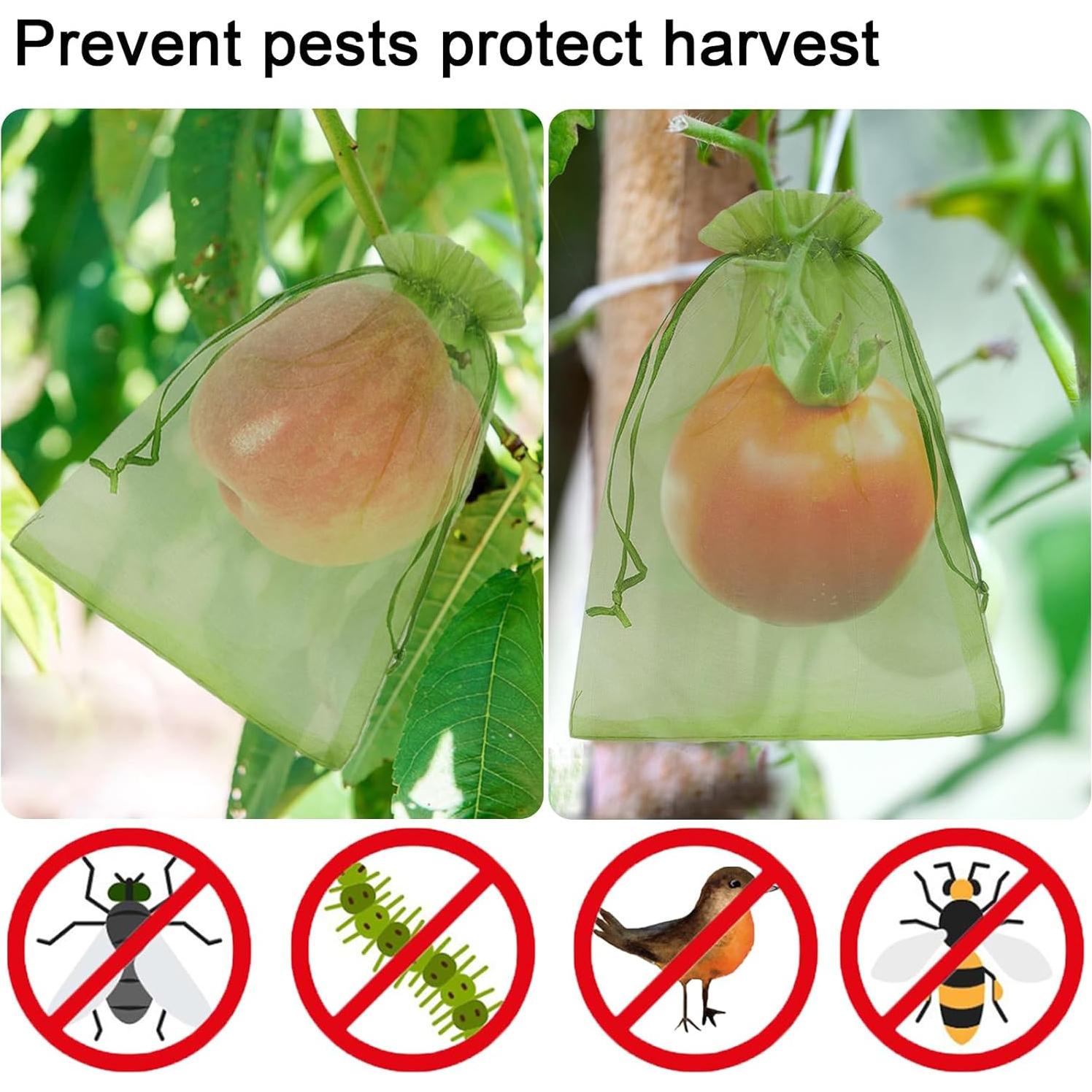 100 Bolsas de Protección de Frutas Uigidori 20x30 cm Verde