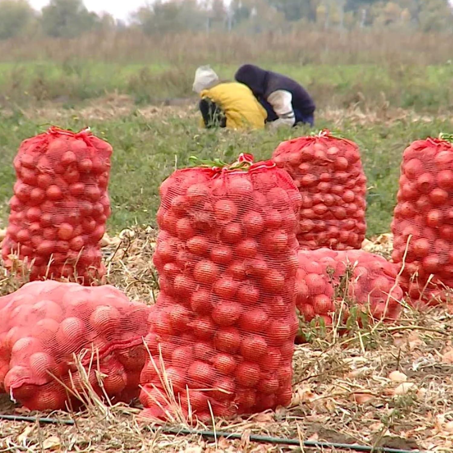 Paquete de 100 bolsas de malla MUKLEI 40x70 cm para cebollas