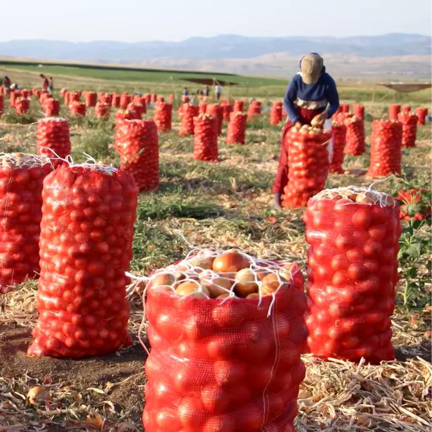 Paquete de 100 bolsas de malla MUKLEI 40x70 cm para cebollas
