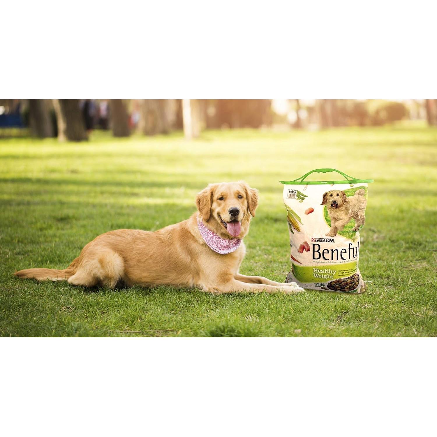 Juego de Mangos GripStic Reutilizables para Sellar Bolsas - 3 Unidades