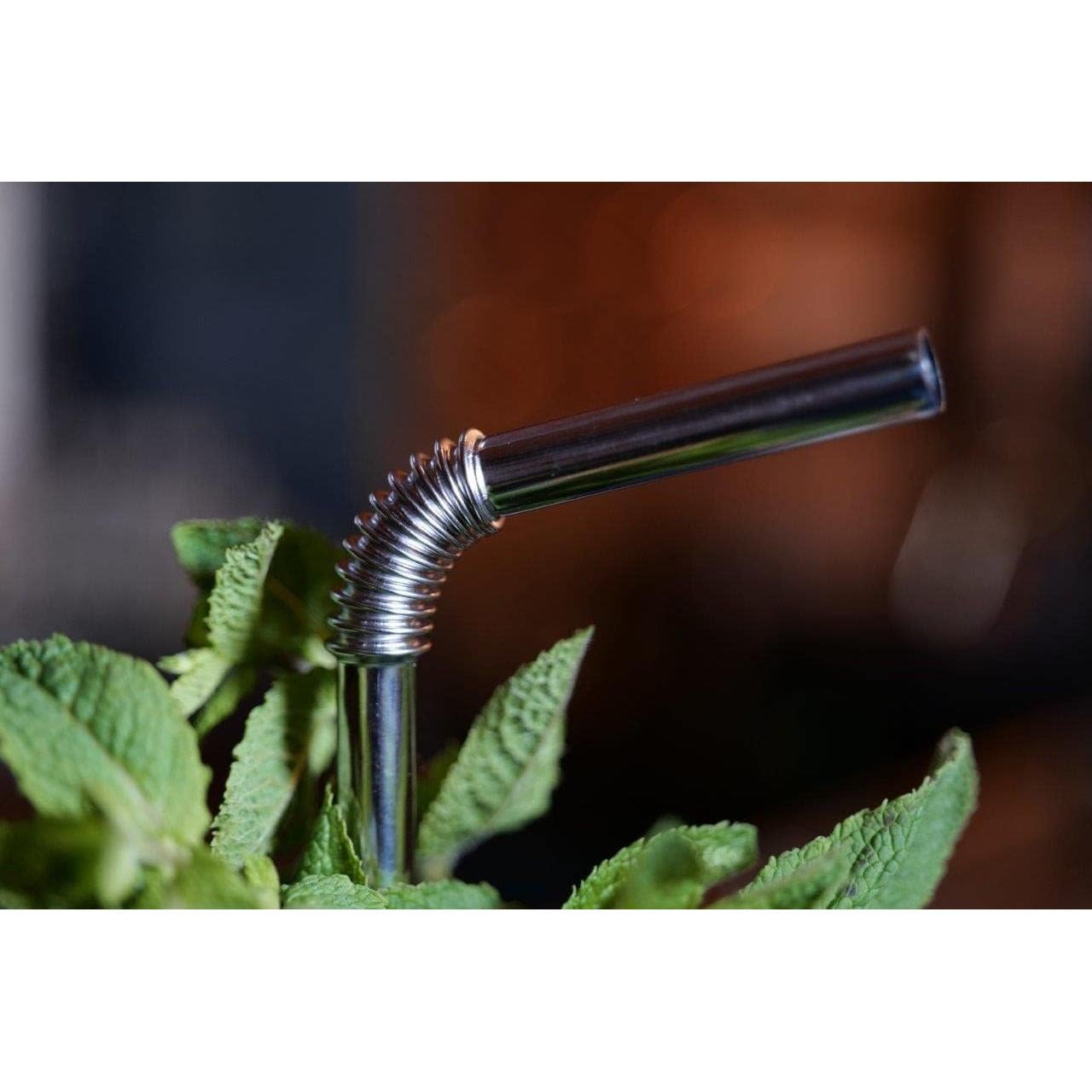 Popotes de Acero Inoxidable Flexibles Nuts - 4 Piezas + Limpiador