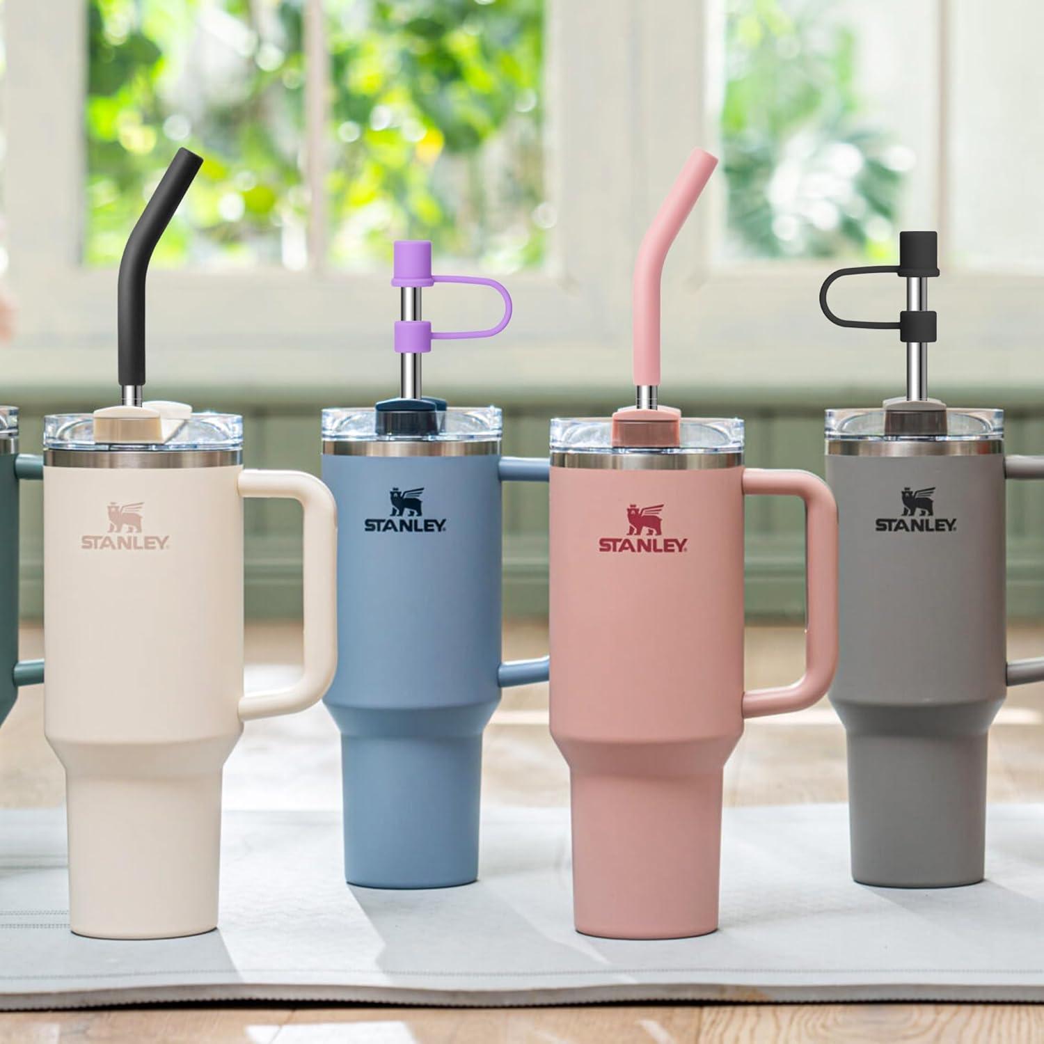 Popotes de Metal Diumepo 30 oz con Puntas de Silicona