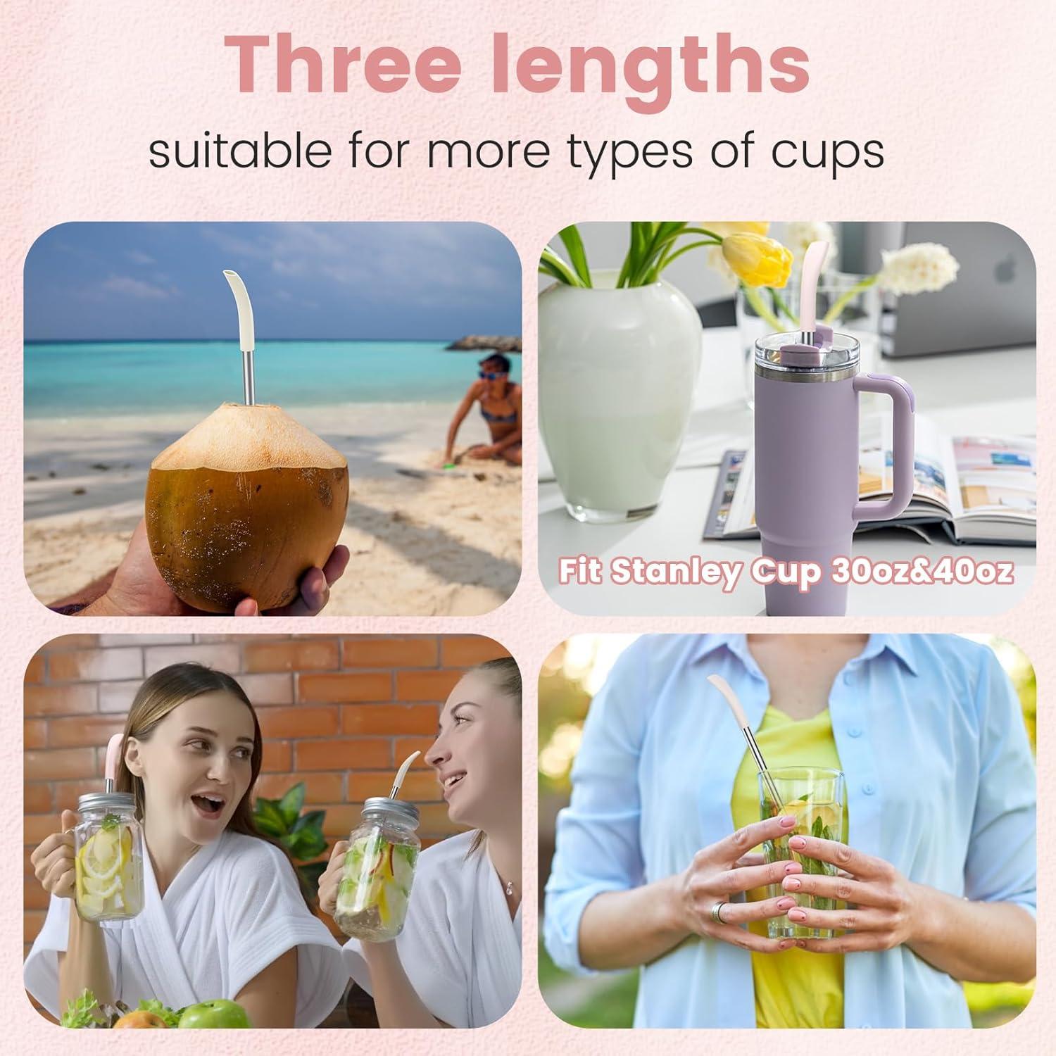 Popotes Antienvejecimiento Reutilizables OUTXE 6 Pcs Acero Inoxidable