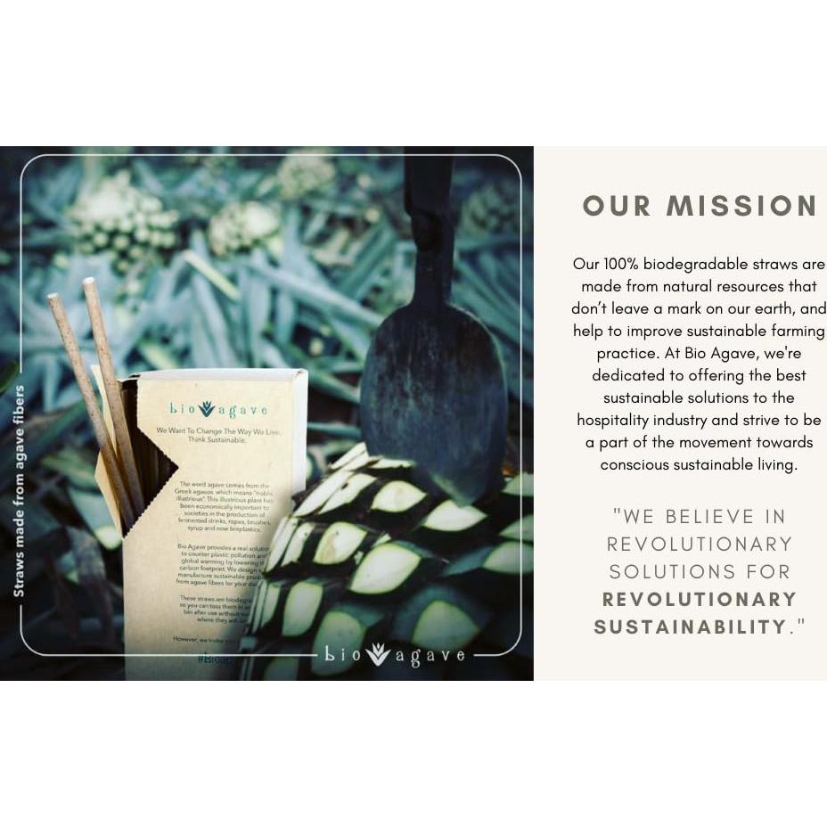 Pajitas Biodegradables BIO AGAVE 150 Pcs 15 cm Cortas