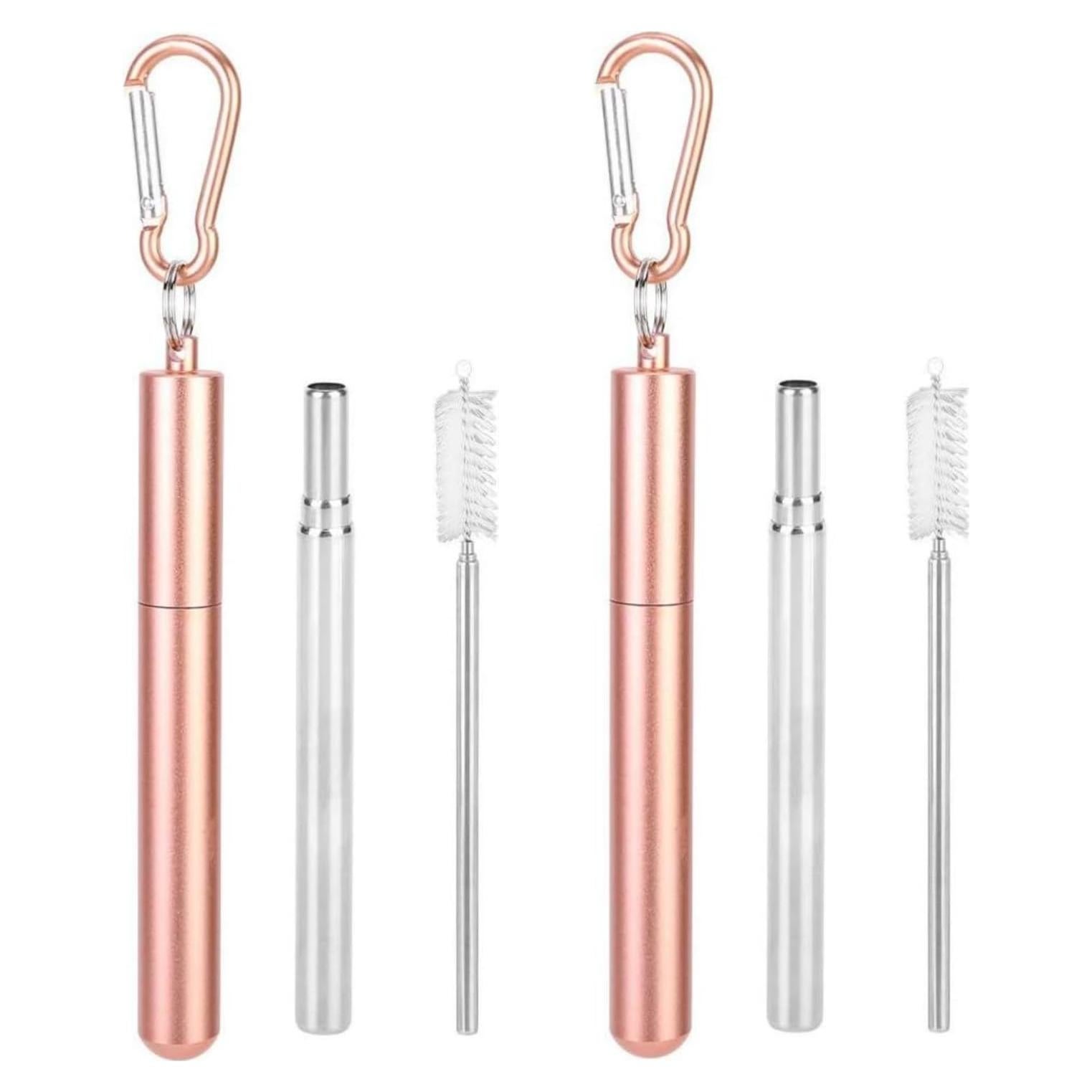 Set de 2 Popotes Plegables de Acero Inoxidable Saluaqui