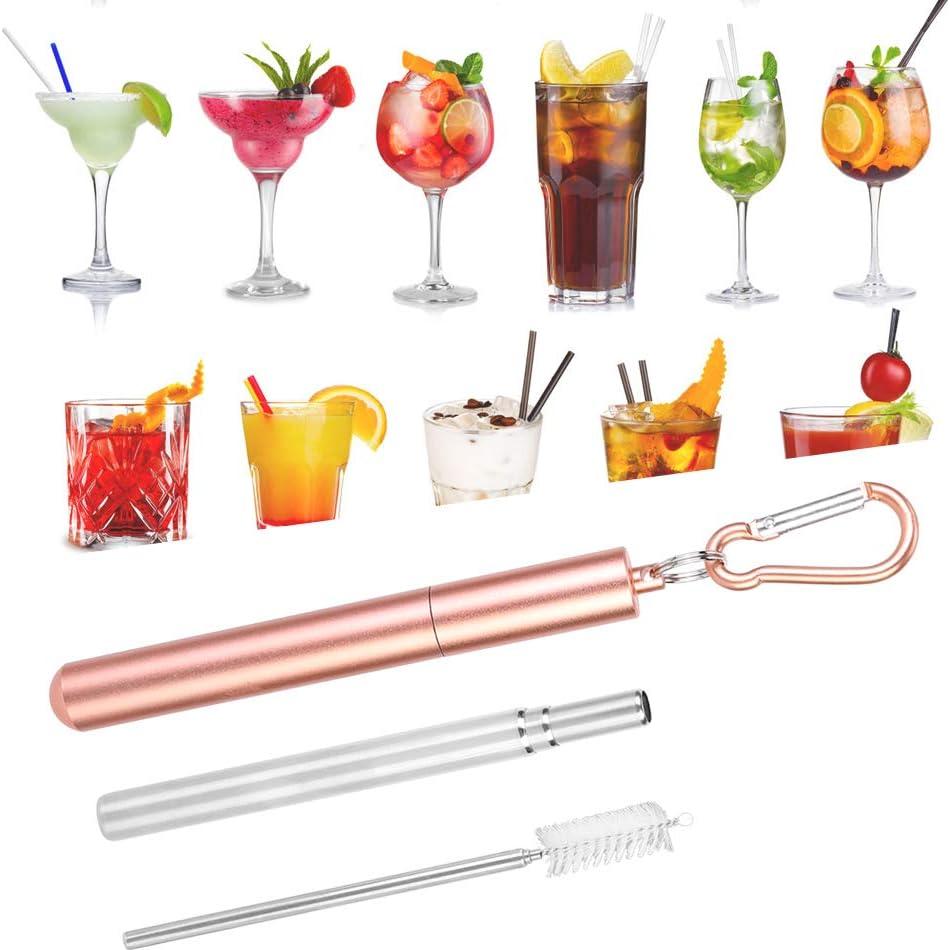 Set de 2 Popotes Plegables de Acero Inoxidable Saluaqui