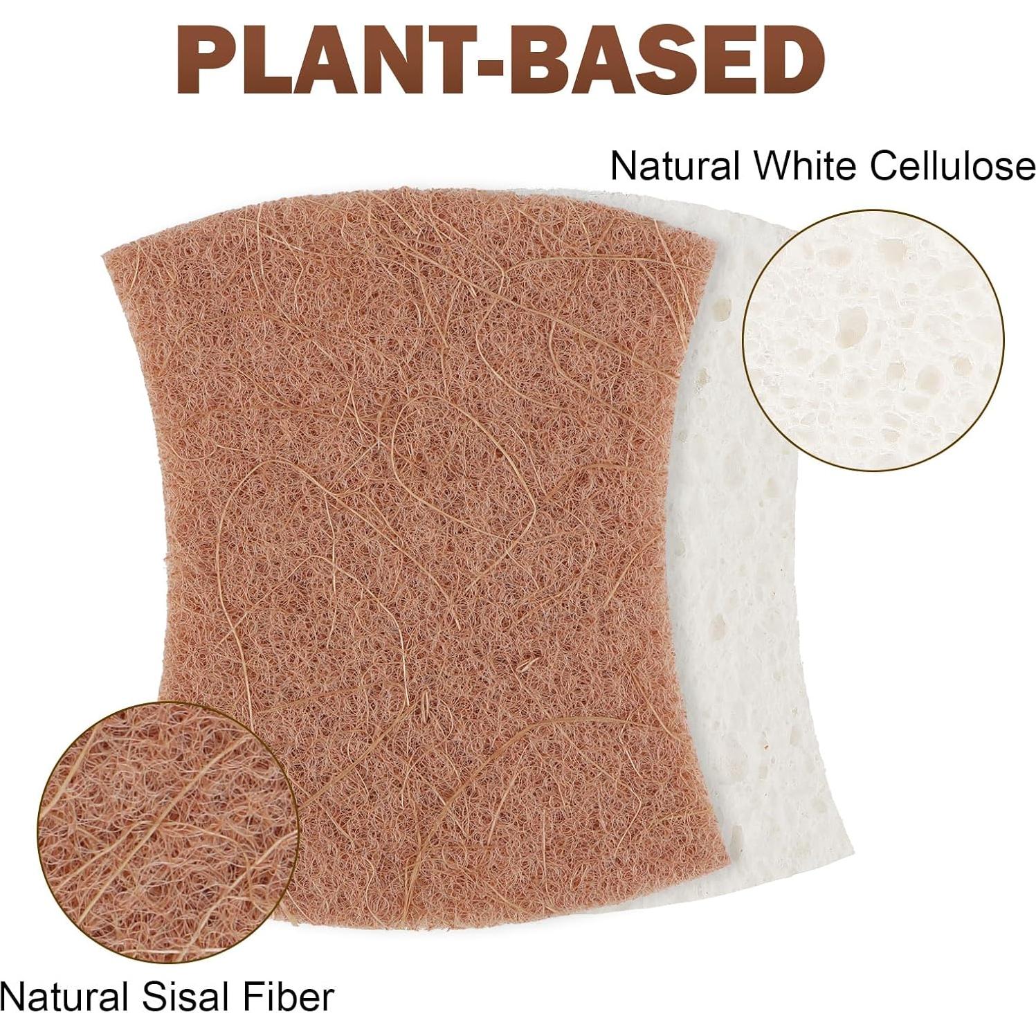 Esponjas de Limpieza Orighty 24 Unidades Sin Rayones