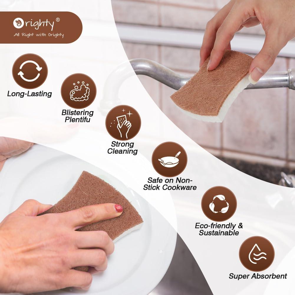 Esponjas de Limpieza Orighty 24 Unidades Sin Rayones