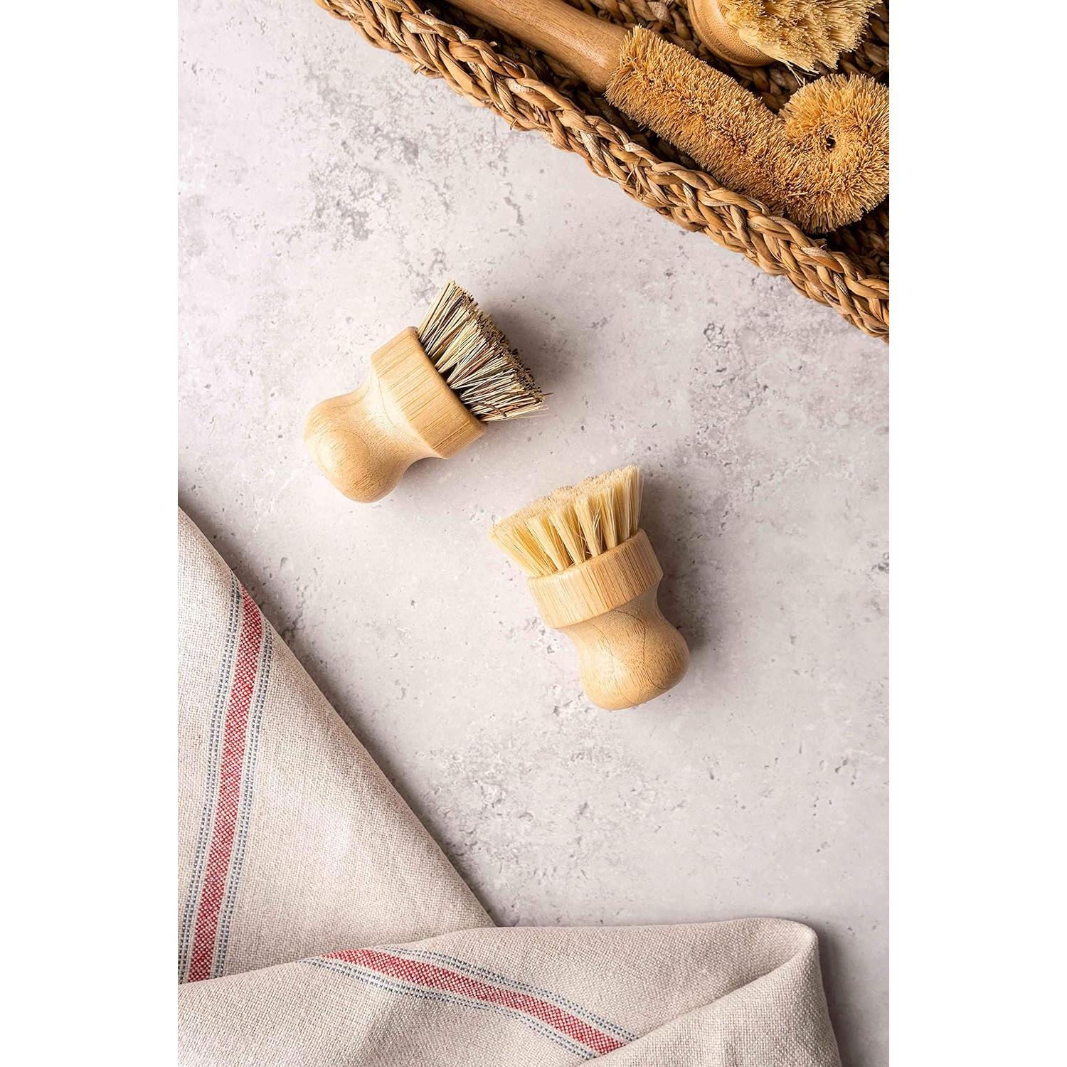 Juego de Cepillos de Platos Ecológicos ARYA - 4 Piezas con Repuesto