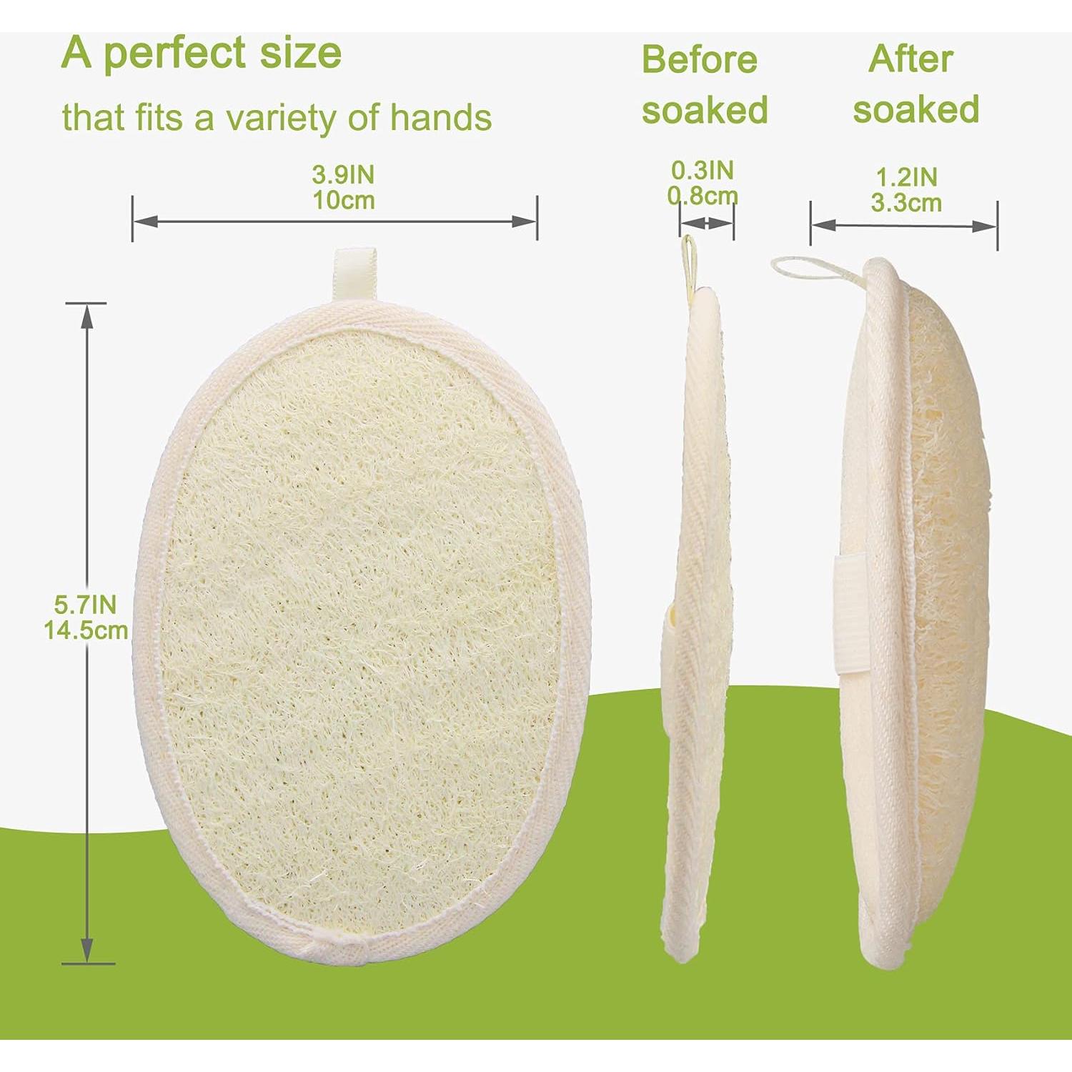 Esponjas de Ducha Exfoliantes de Luffa Natural - 2 Piezas