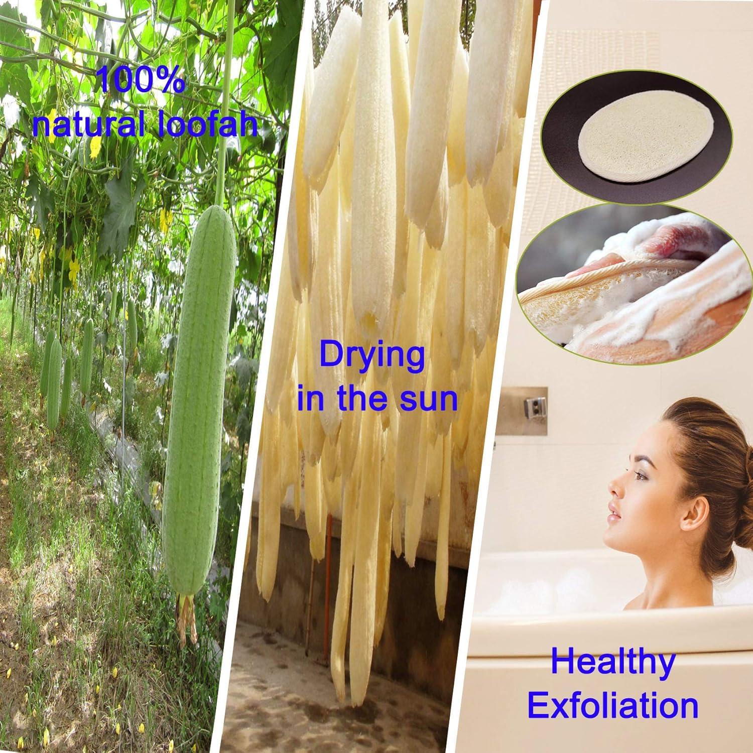 Esponjas de Ducha Exfoliantes de Luffa Natural - 2 Piezas