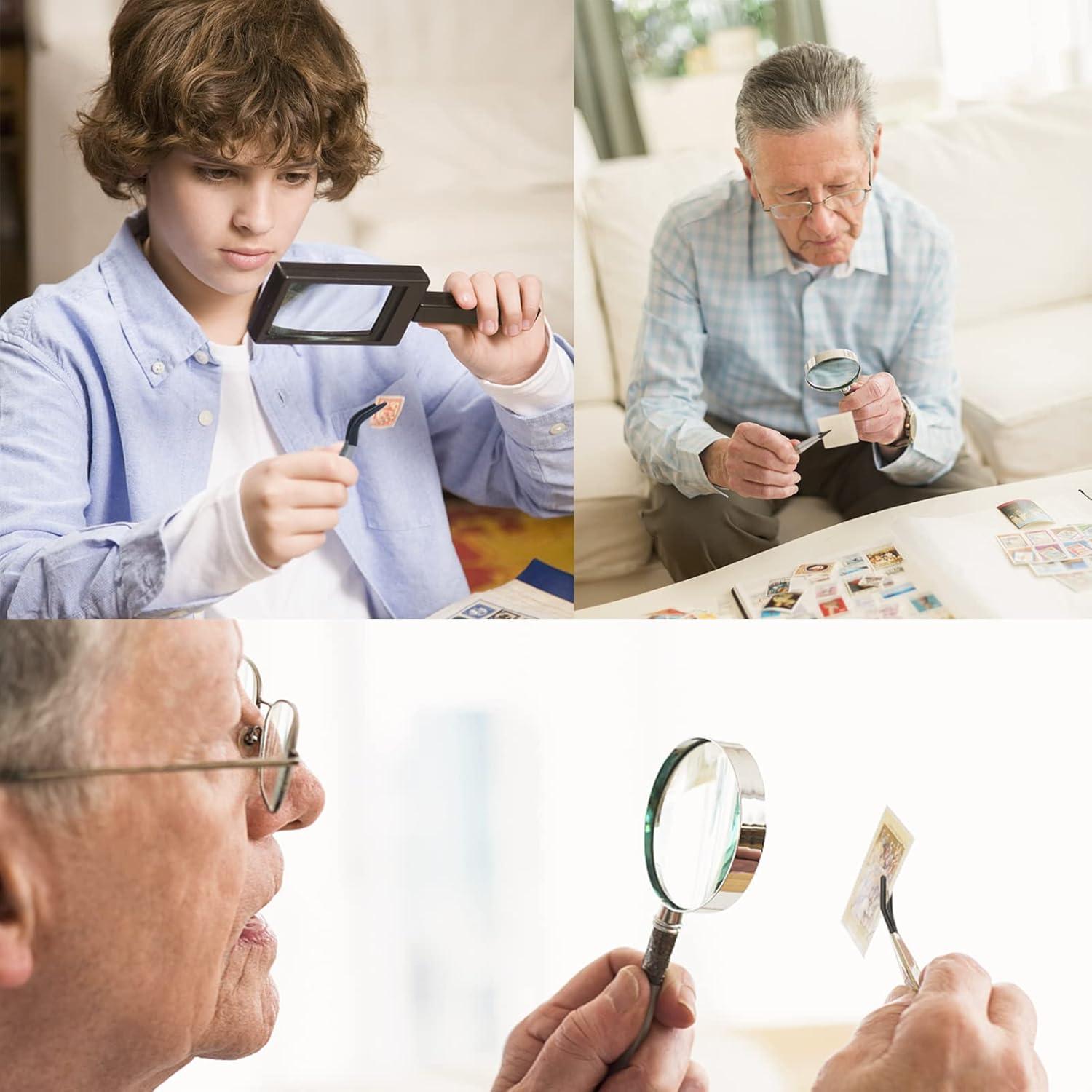 Pinzas de Goma DragonflyDreams - 4 Piezas, Acero Inoxidable