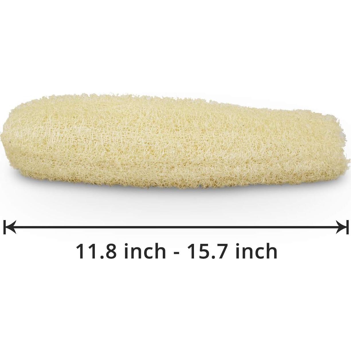 Esponjas de Lufa Natural Orgánica Grande Exfoliantes - Paquete de 4