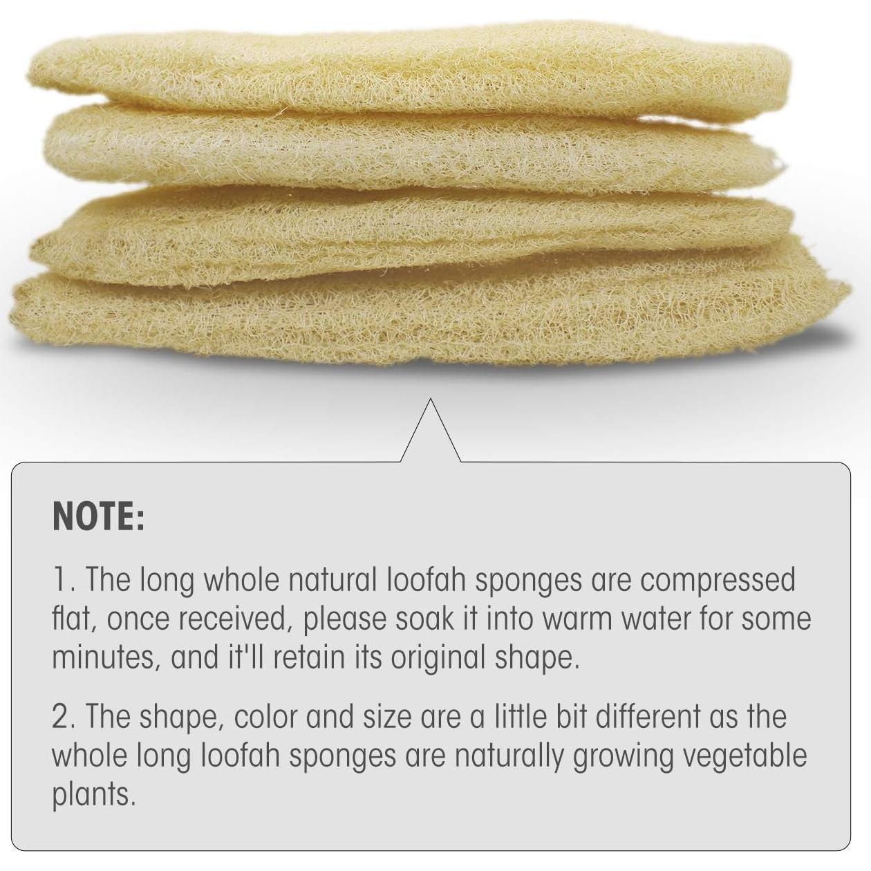 Esponjas de Lufa Natural Orgánica Grande Exfoliantes - Paquete de 4