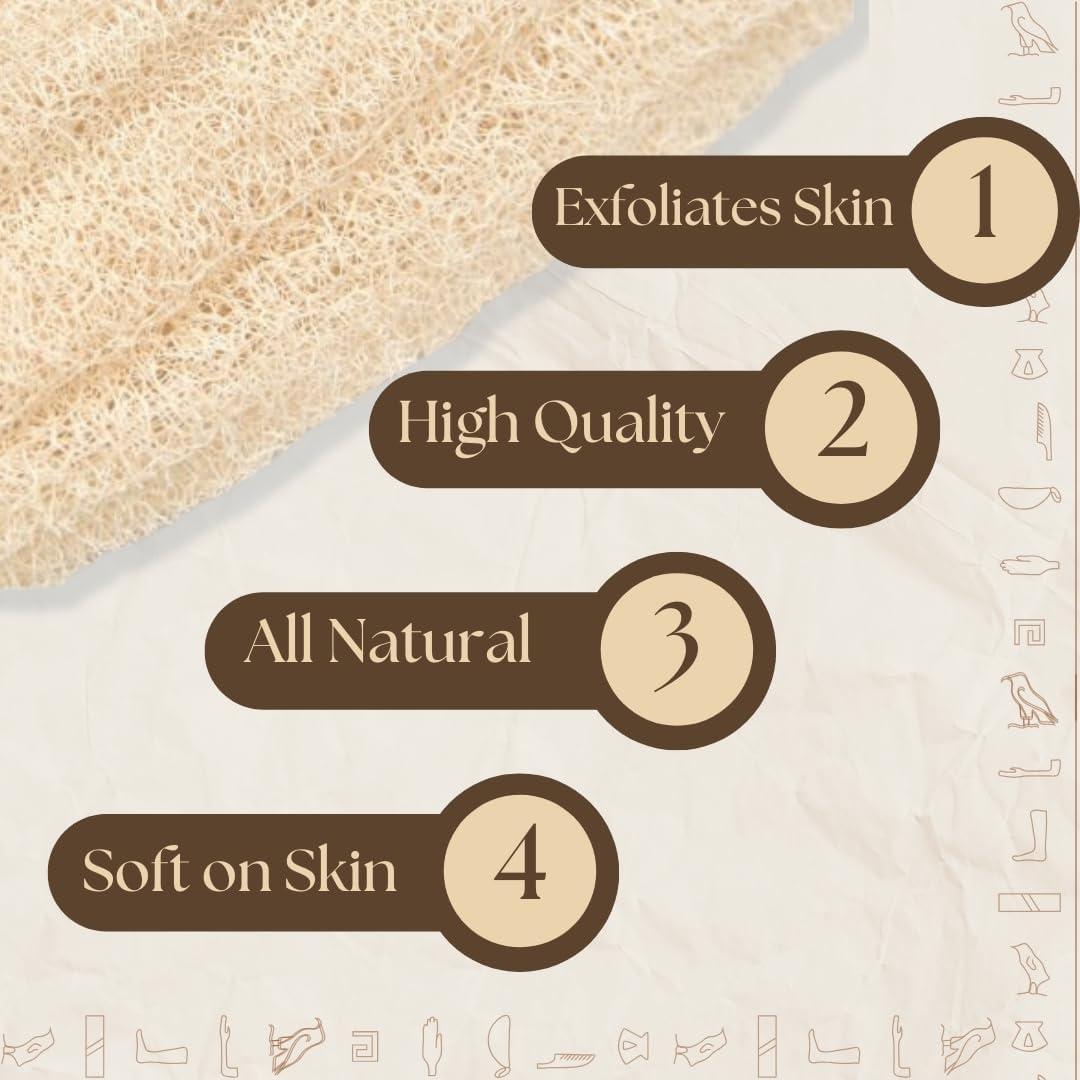 Esponja de Baño Lufa Egipcia 100% Natural Exfoliante 24x12cm