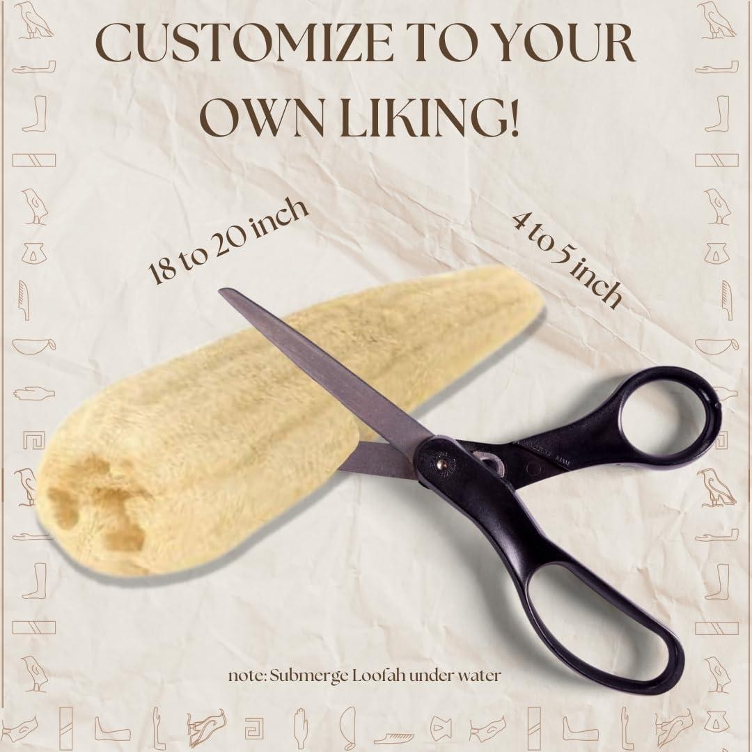 Esponja de Baño Lufa Egipcia 100% Natural Exfoliante 24x12cm