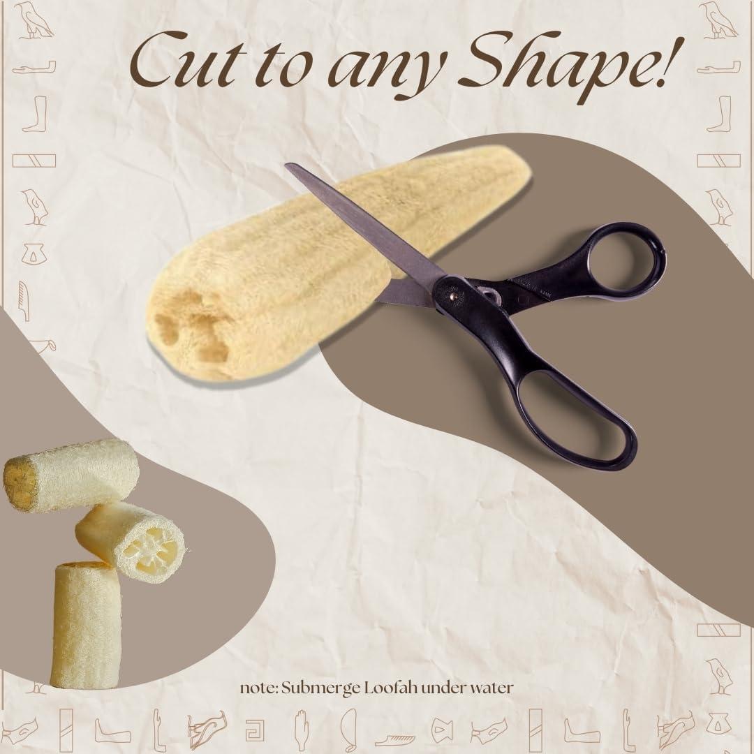 Esponja de Baño Lufa Egipcia 100% Natural Exfoliante 24x12cm