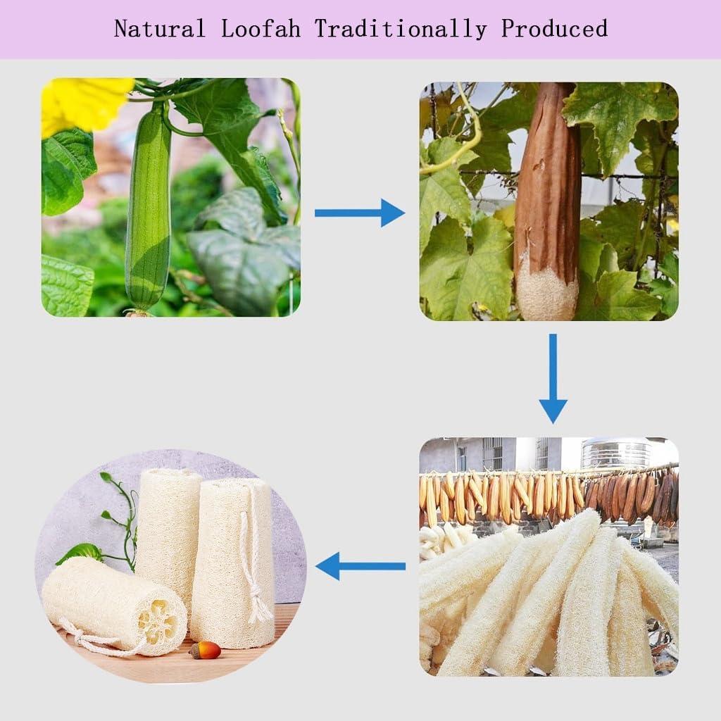 Esponja Exfoliante de Lufa Natural SHENGZHENFUSHI - 3 Piezas