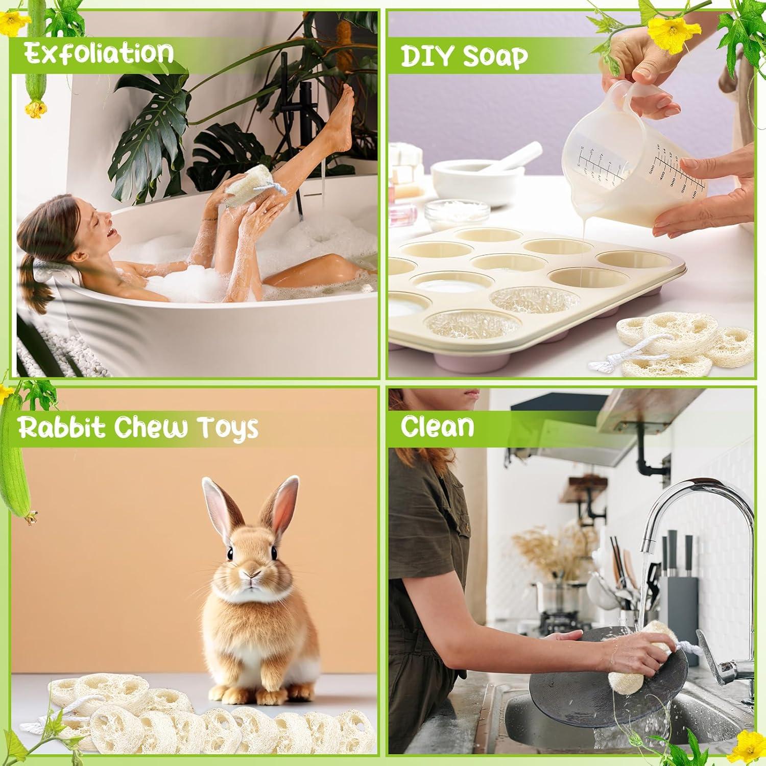 Paquete de 9 esponjas de lufa natural 10 cm para cocina y piel