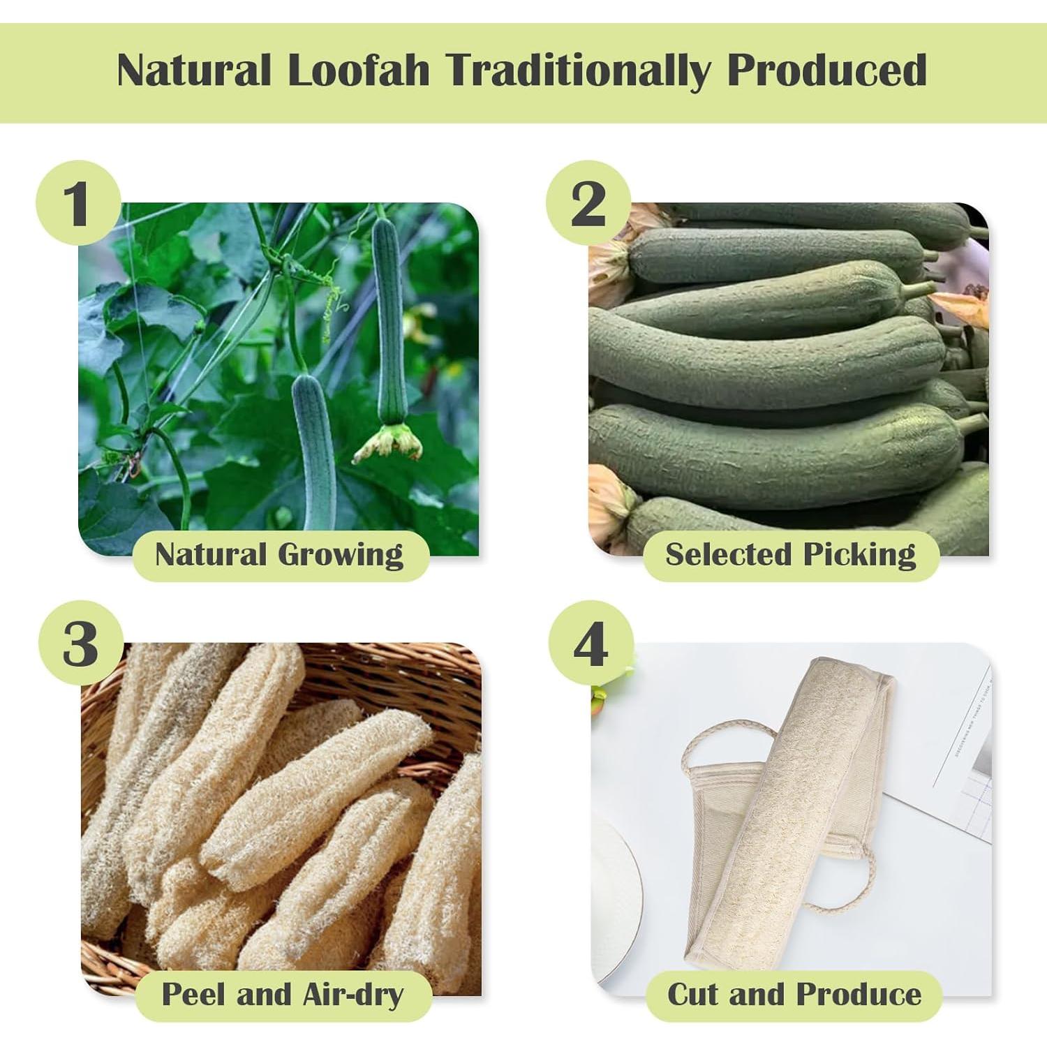 Esponja de Lufa Natural Jopplim para Espalda 82x10 cm