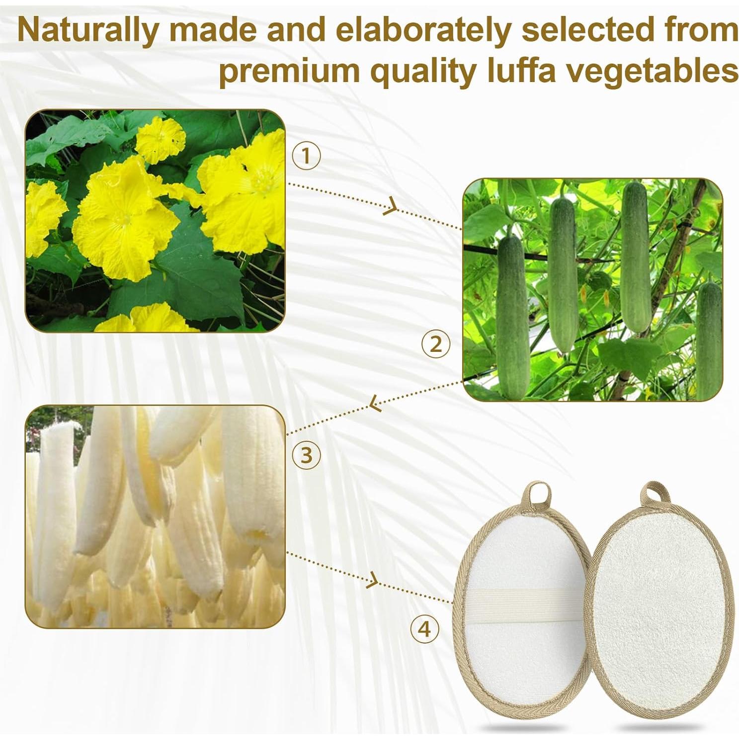 Esponja Exfoliante de Lufa CrazyTerra - Paquete de 2, 100% Natural