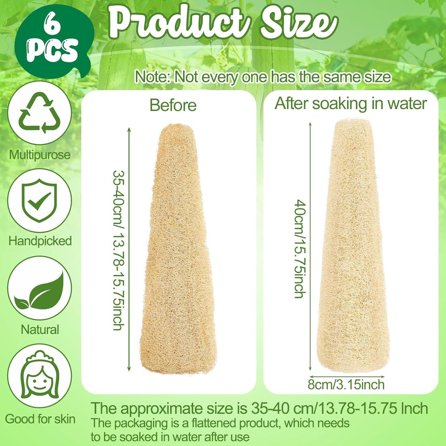 Esponjas de Lufa Natural THE KING HIS QUEEN - Paquete de 6