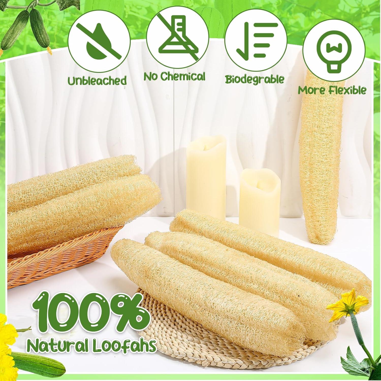 Esponjas de Lufa Natural THE KING HIS QUEEN - Paquete de 6