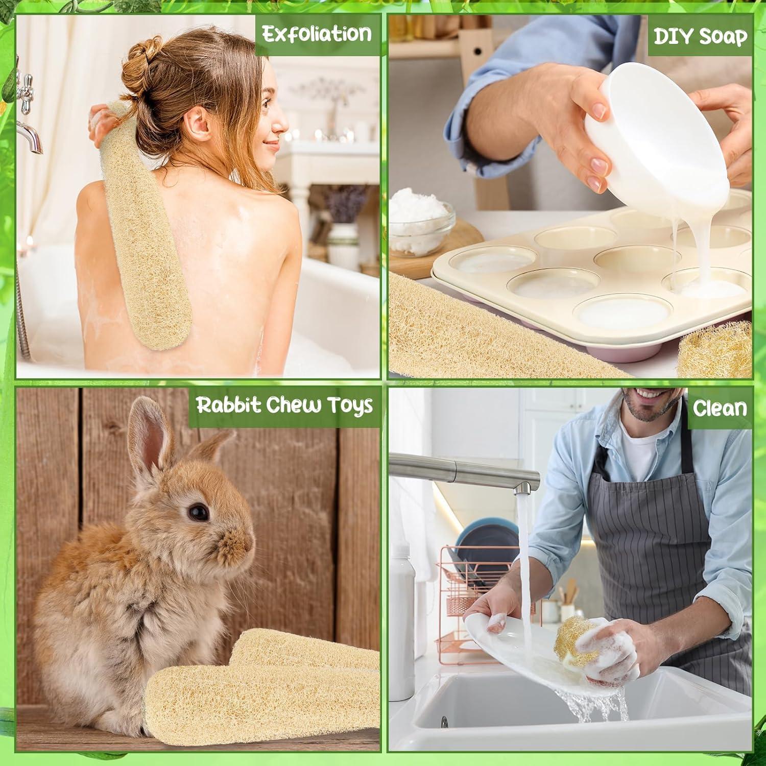 Esponjas de Lufa Natural THE KING HIS QUEEN - Paquete de 6