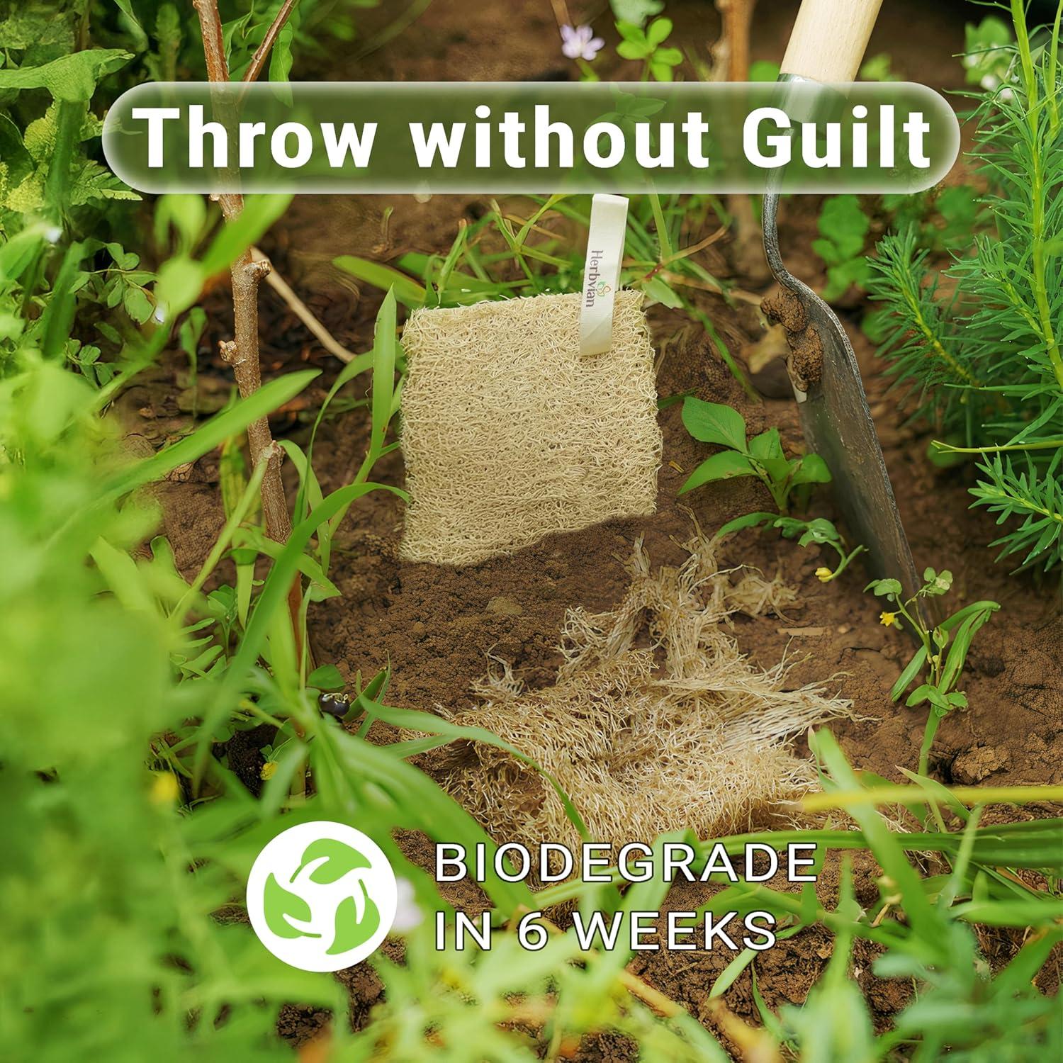 Esponja de Lufa Natural Herbvian - Exfoliante Corporal 2 Piezas