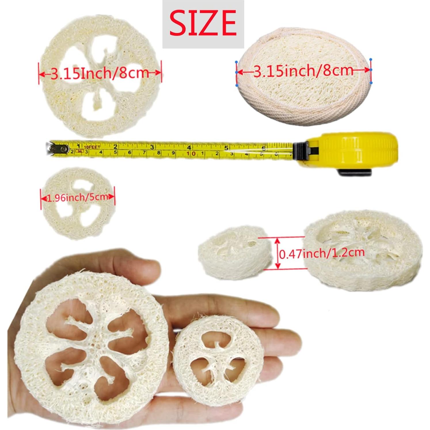 50 Rodajas de Lufa Natural 5cm + 3 Almohadillas Exfoliantes