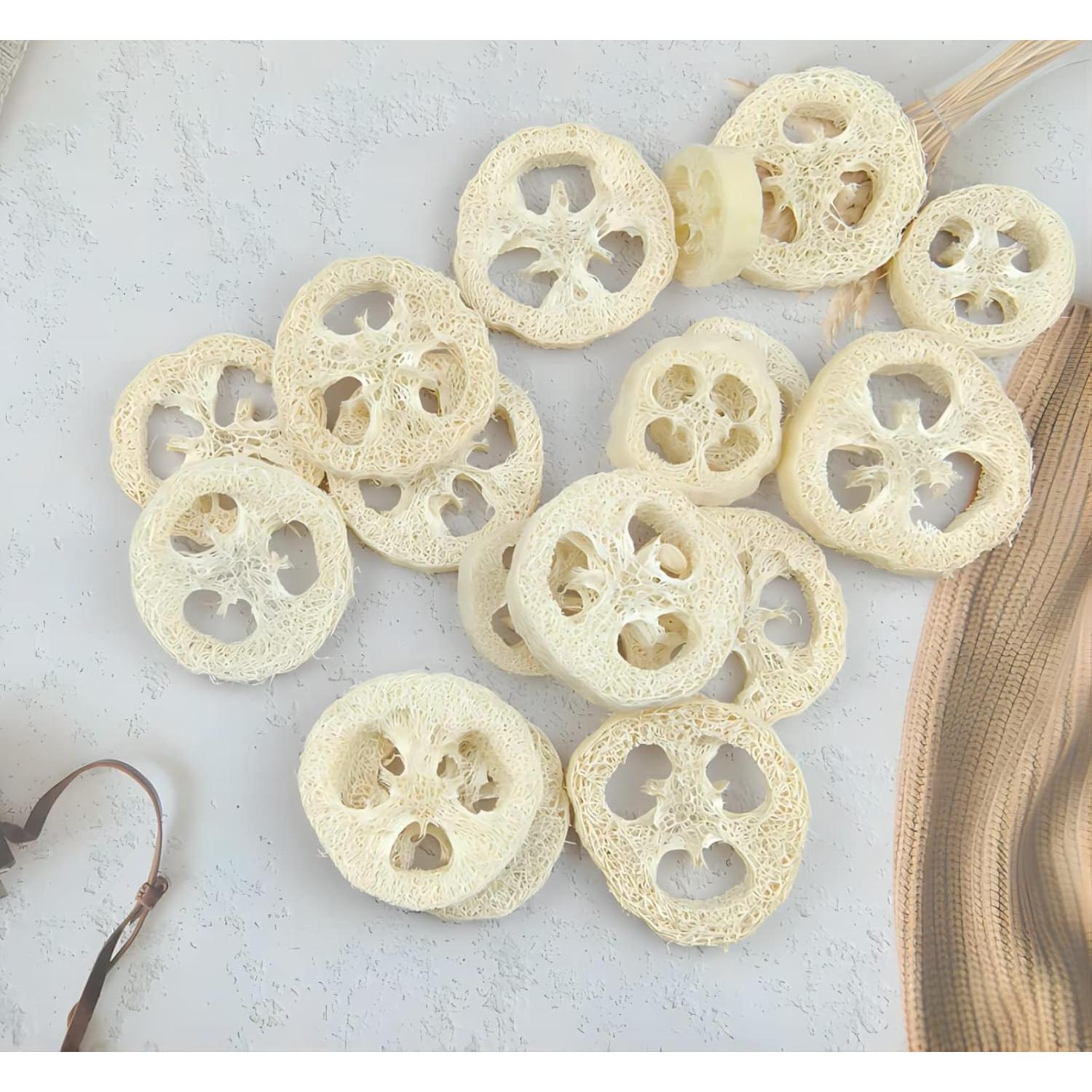 50 Rodajas de Lufa Natural 5cm + 3 Almohadillas Exfoliantes